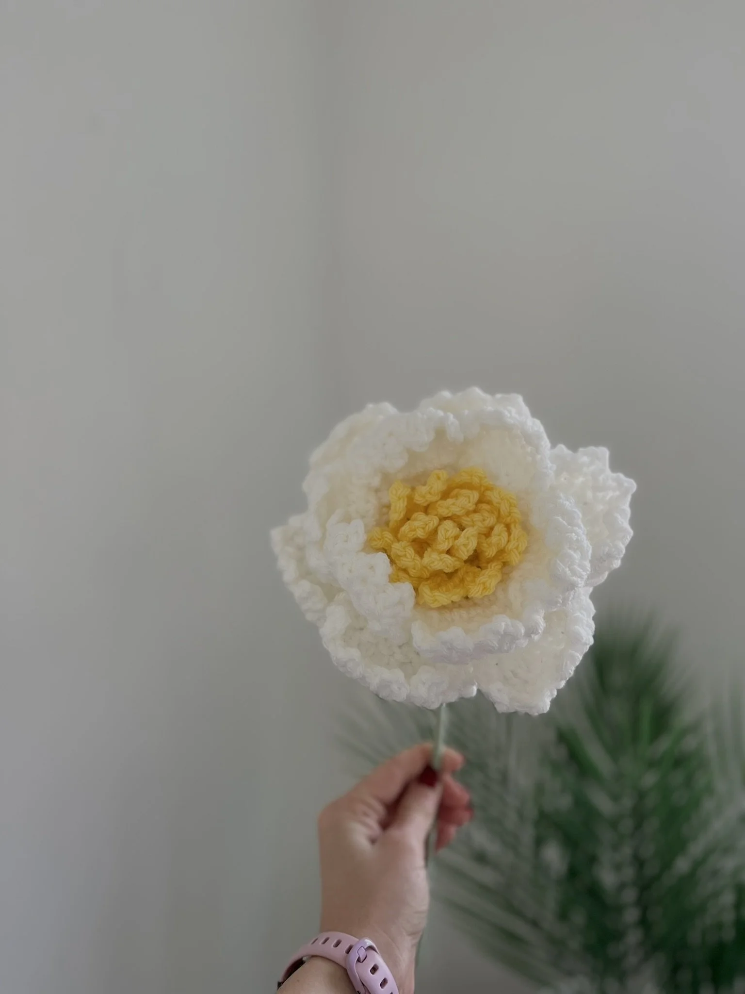 Peony