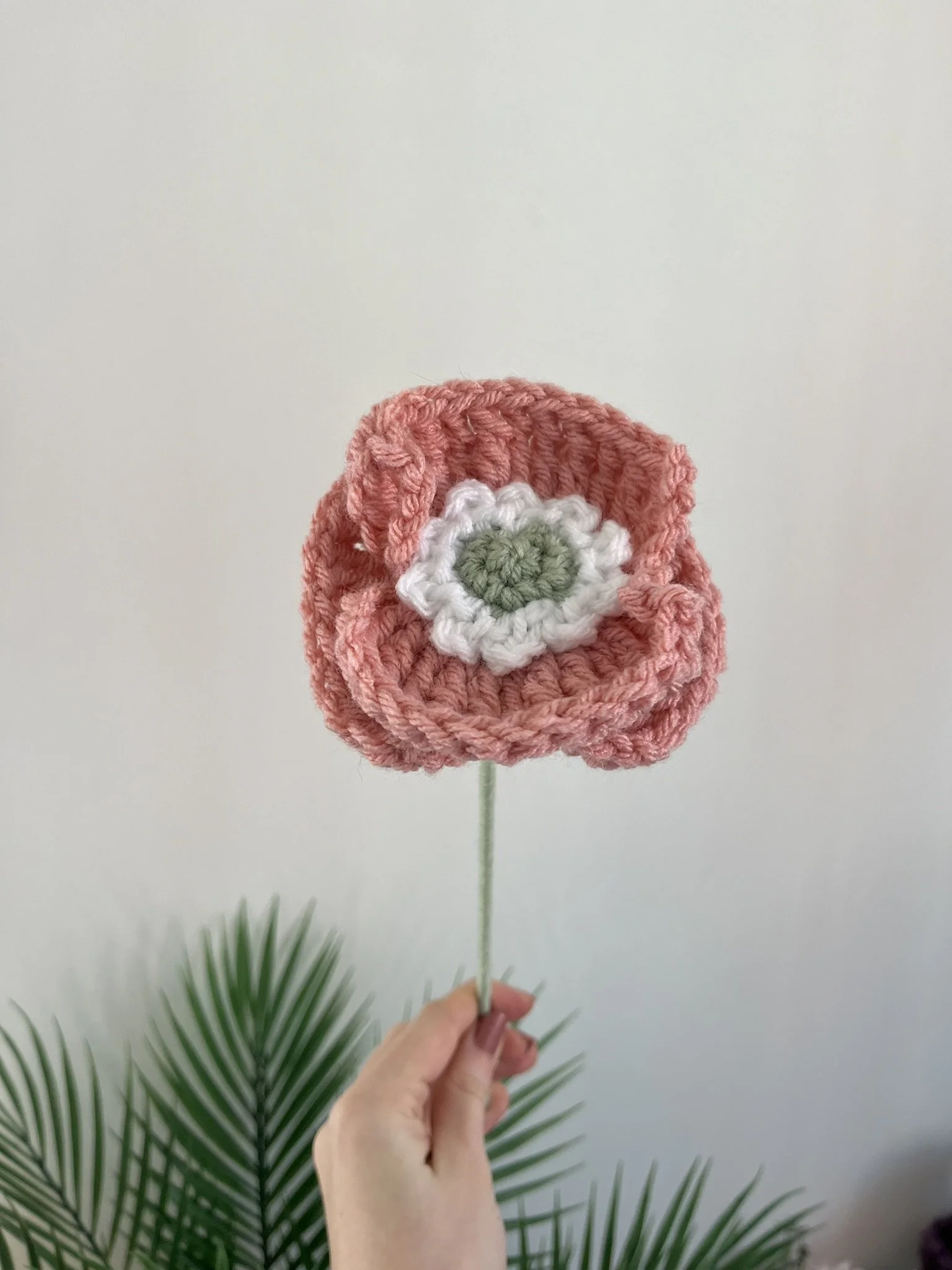 Poppy