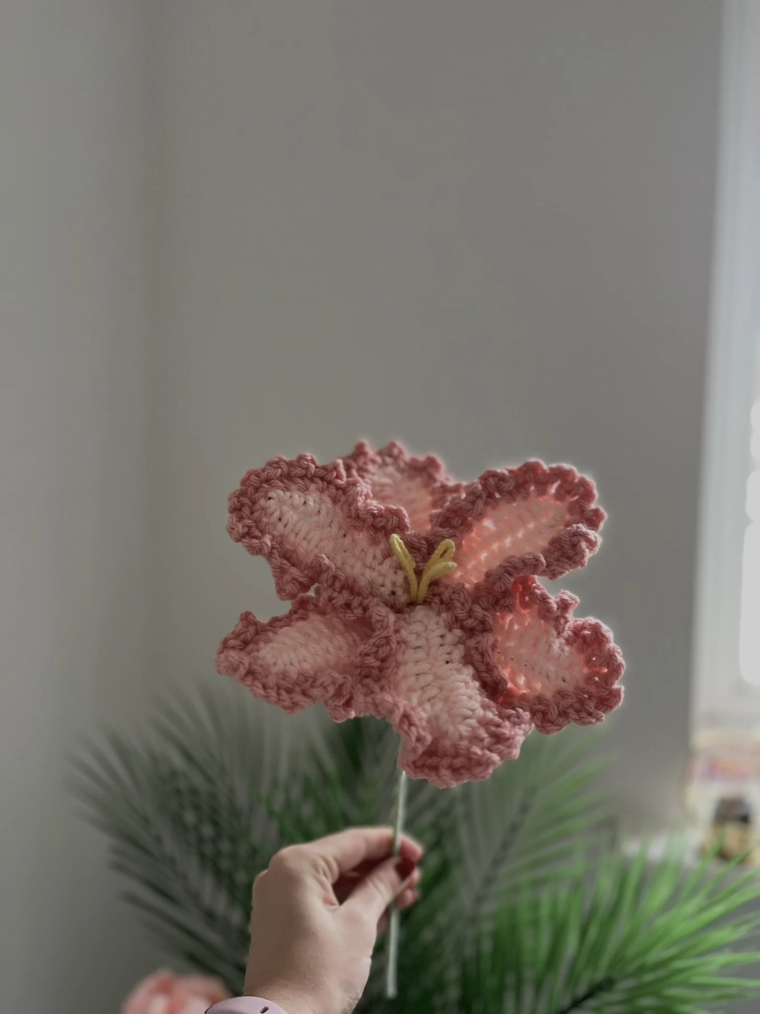 Lily