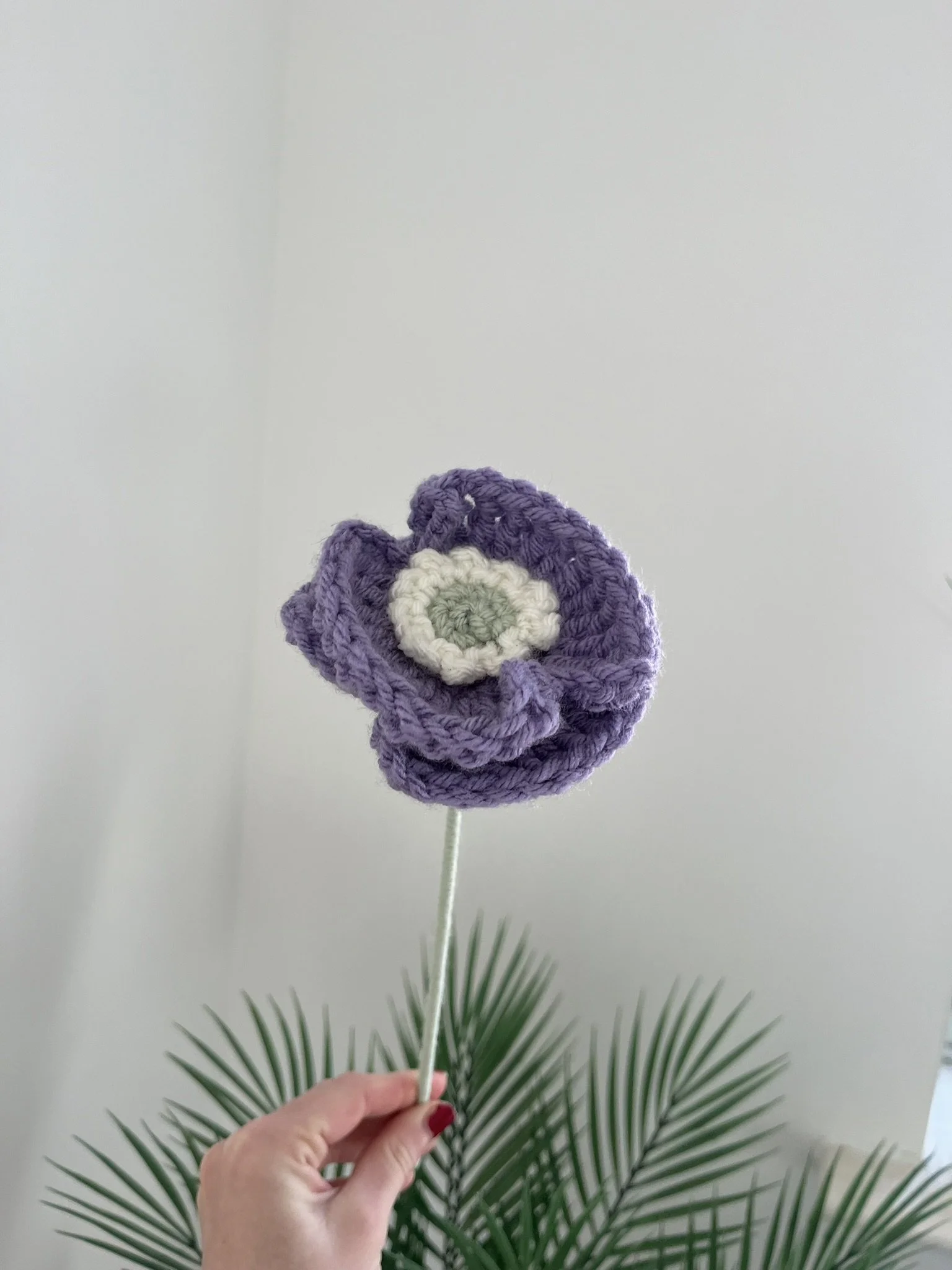 Poppy