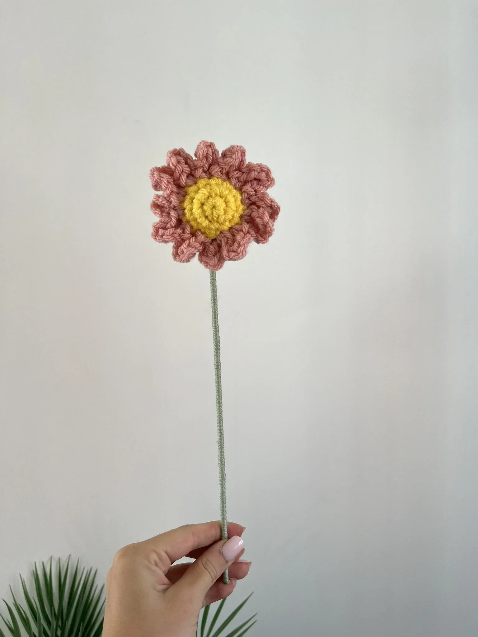 Daisy