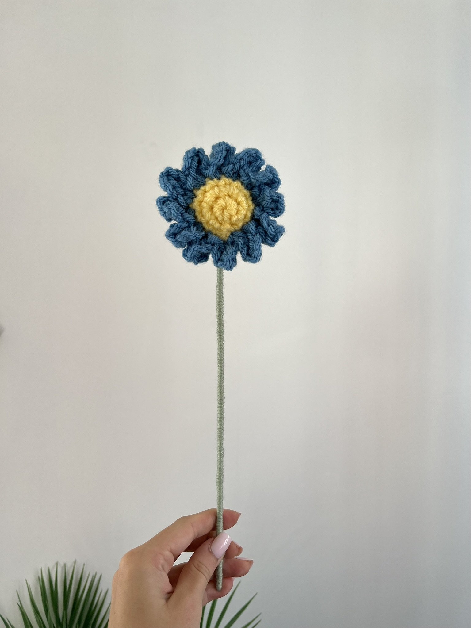 Daisy