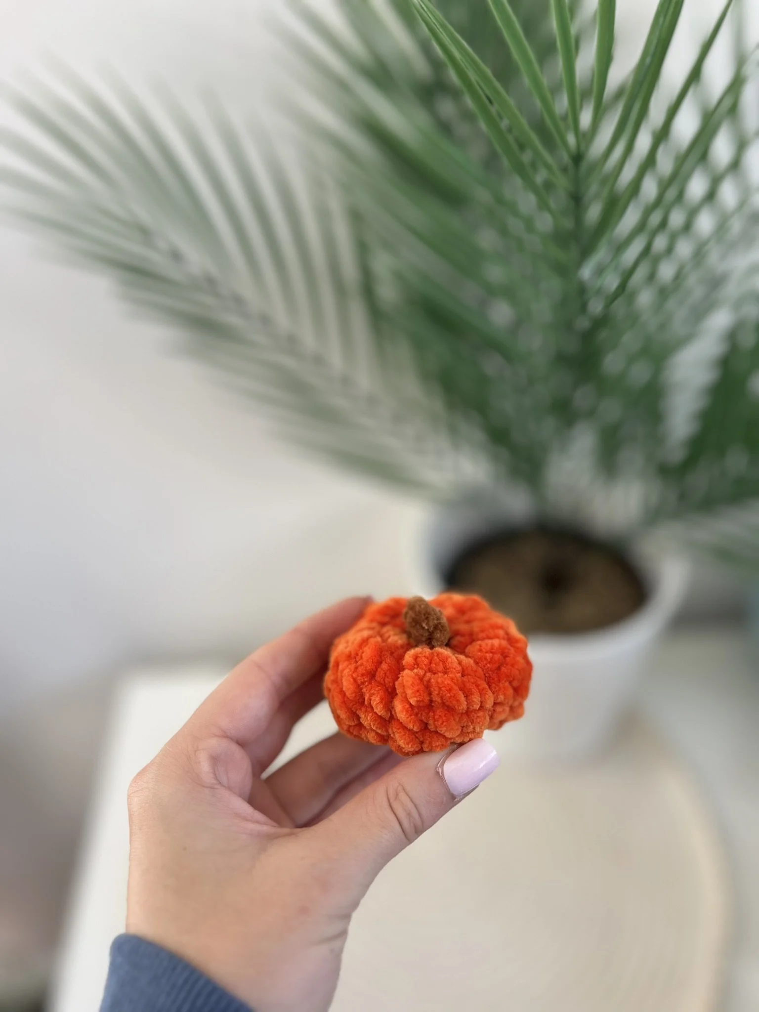 Pumpkin