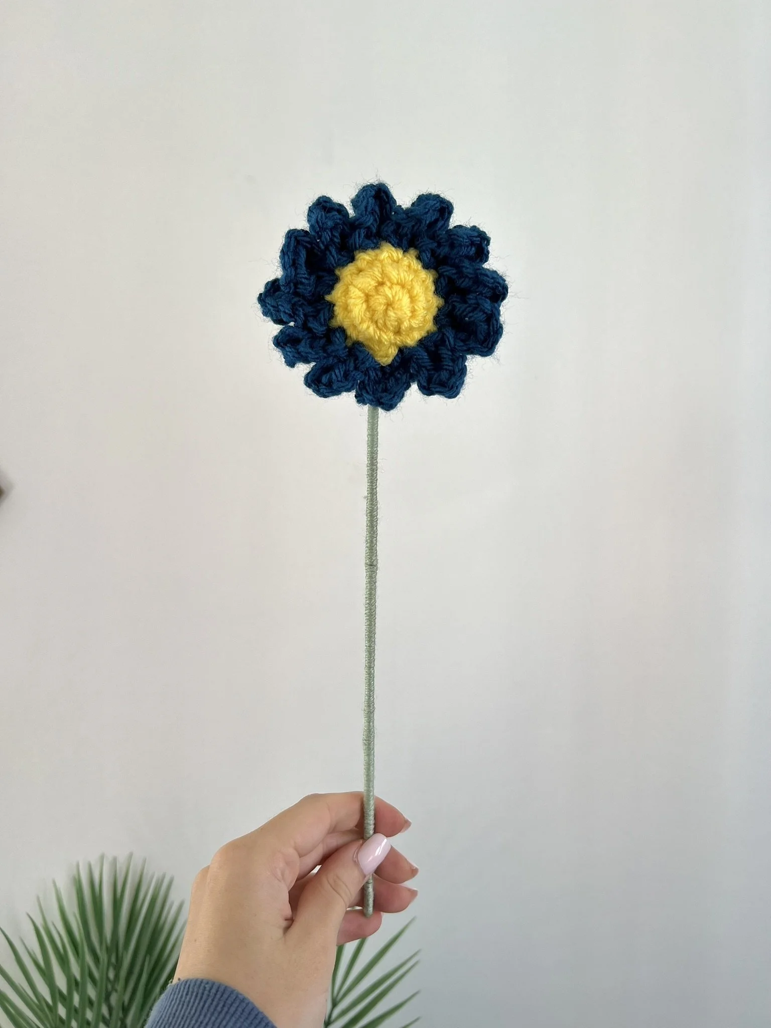 Daisy