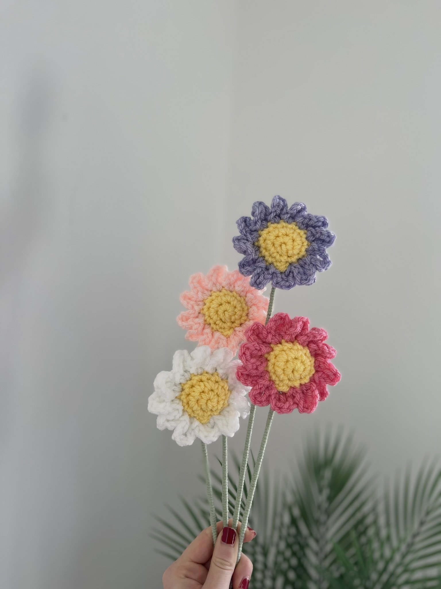 IMG_2276.JPEG