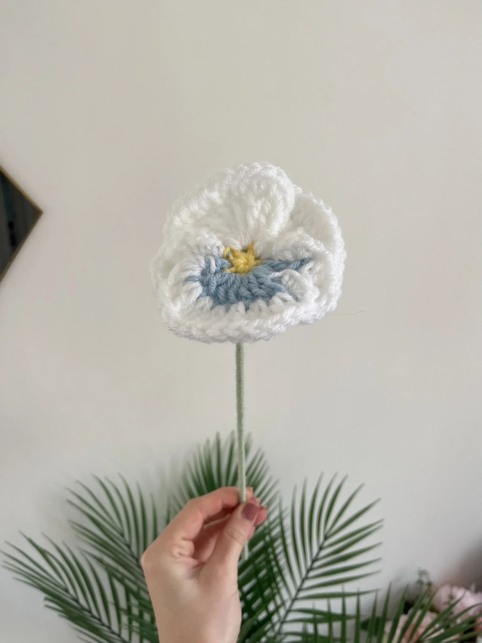 Pansy
