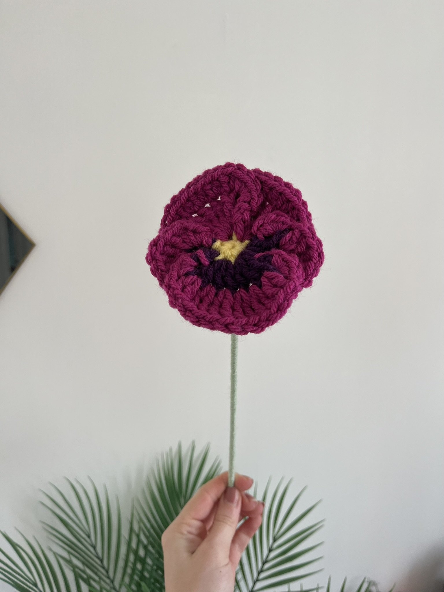 Pansy