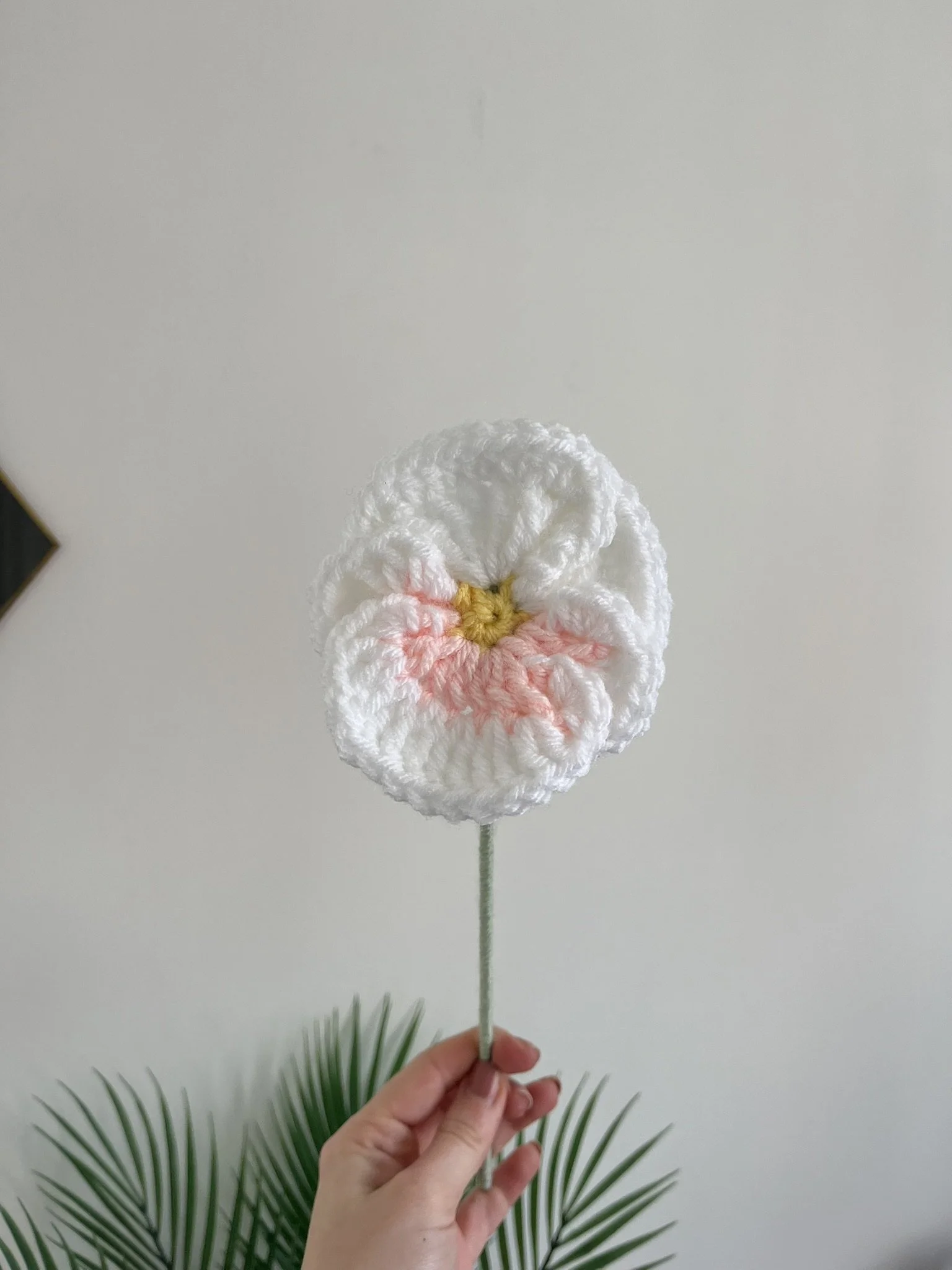 Pansy