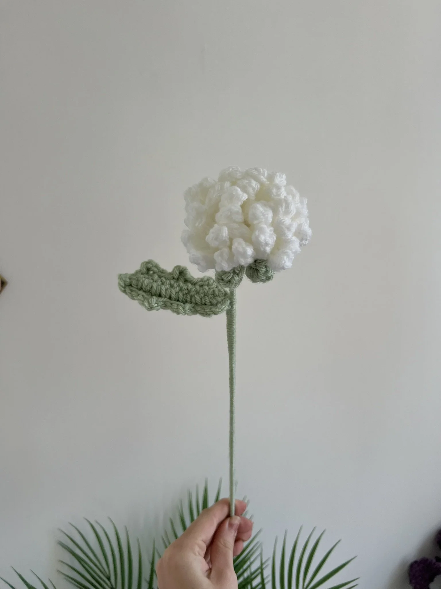 Dandelion (version 1)