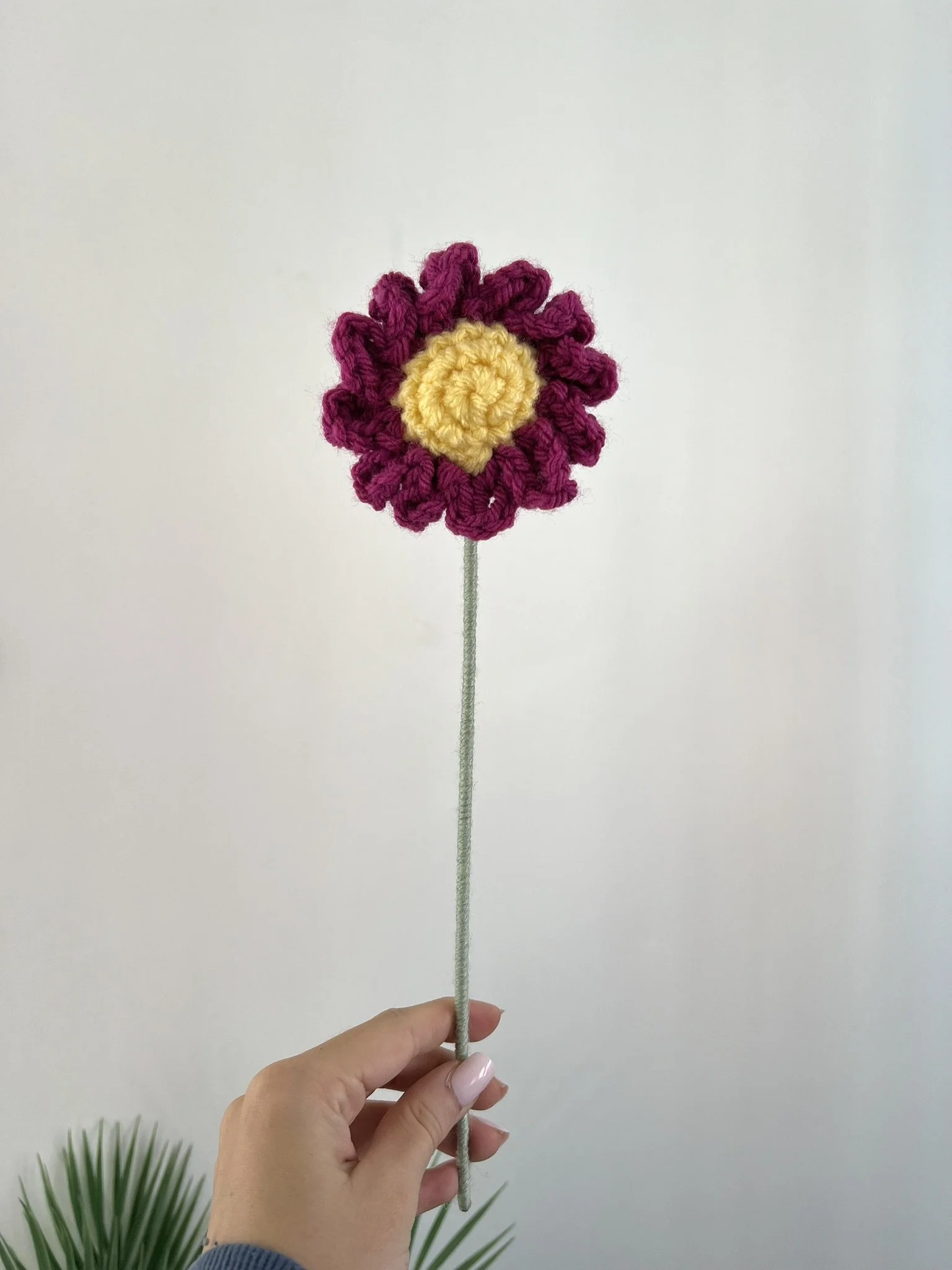 IMG_2460.JPEG