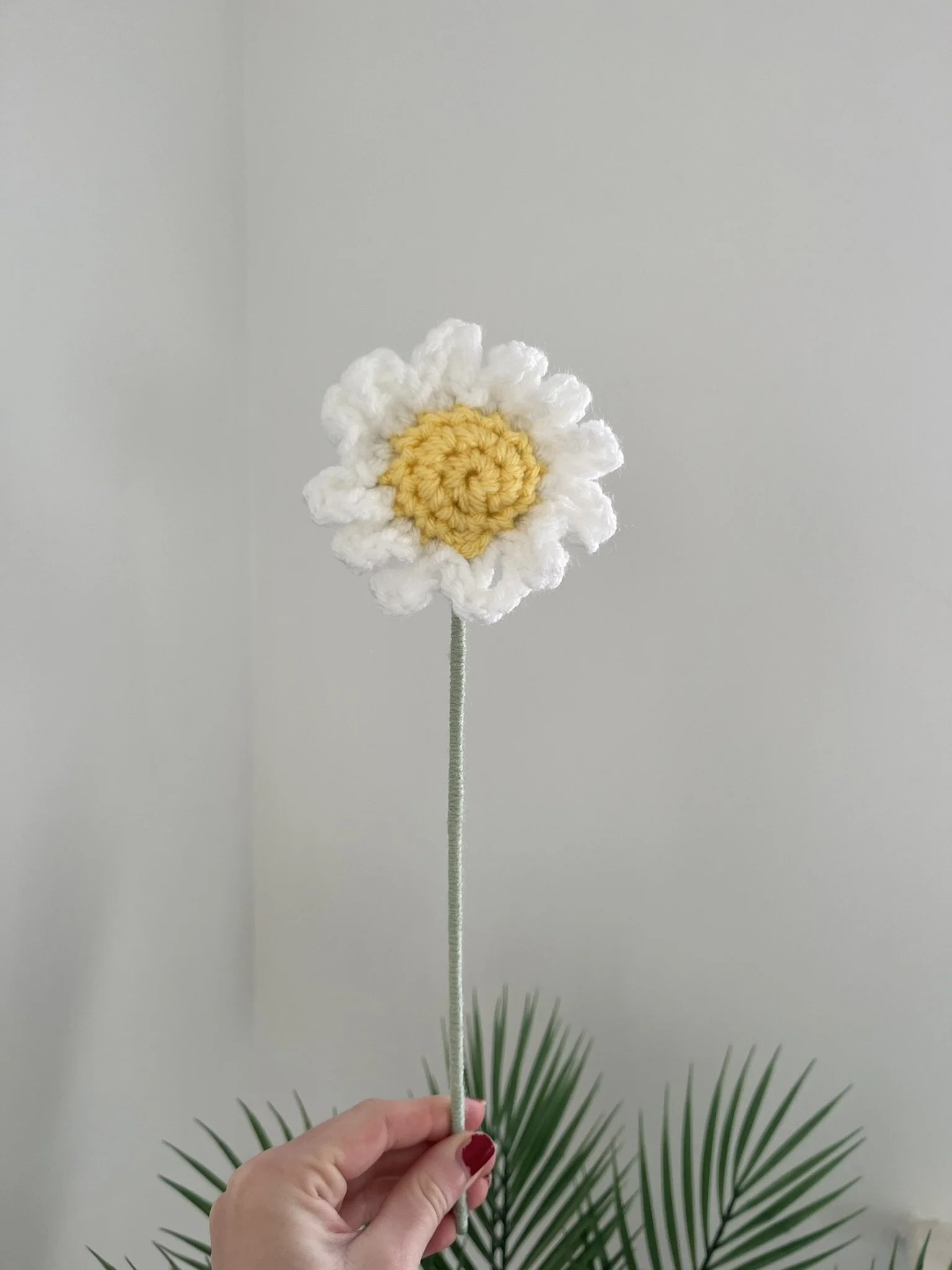 Daisy