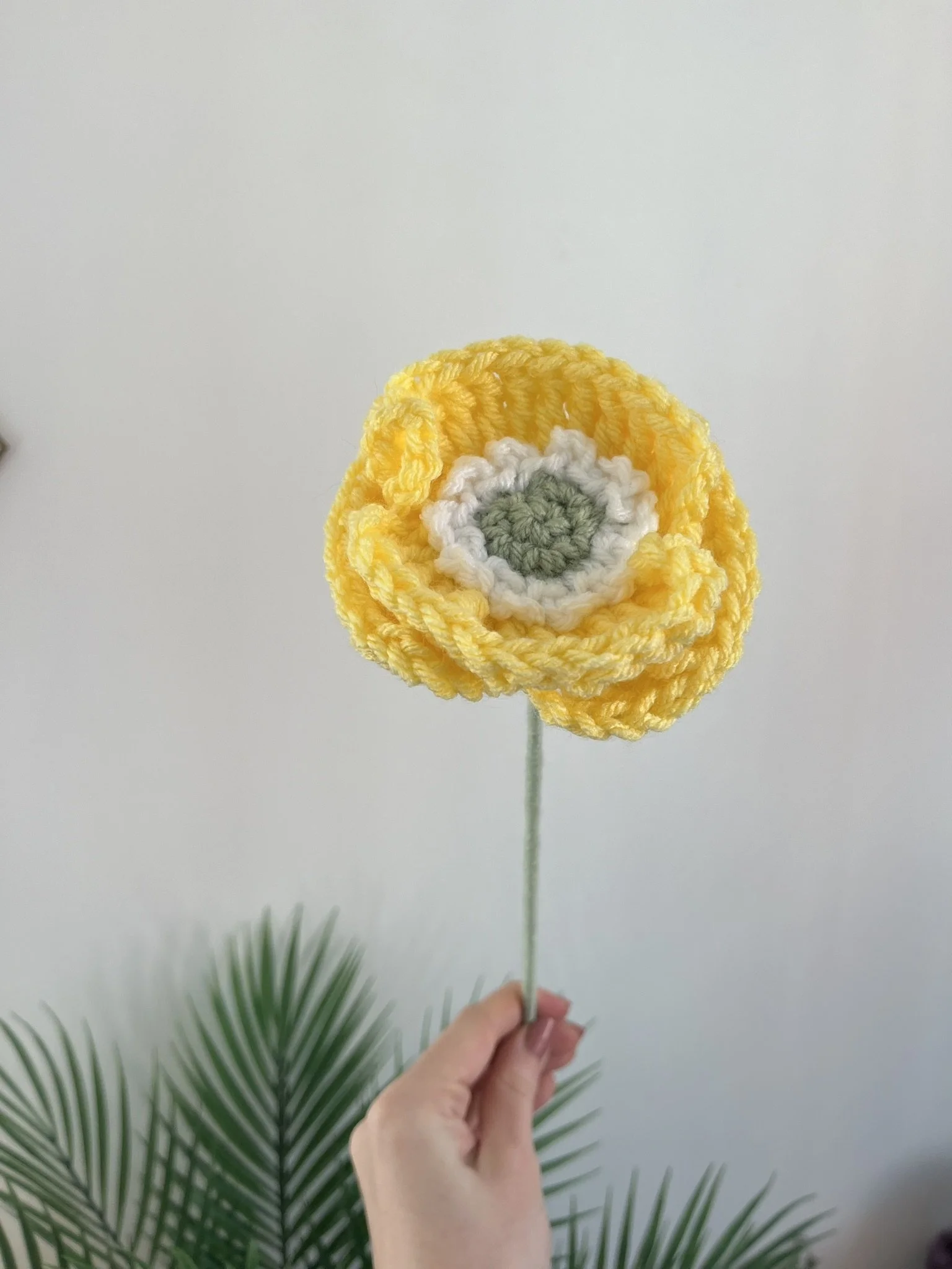 Poppy