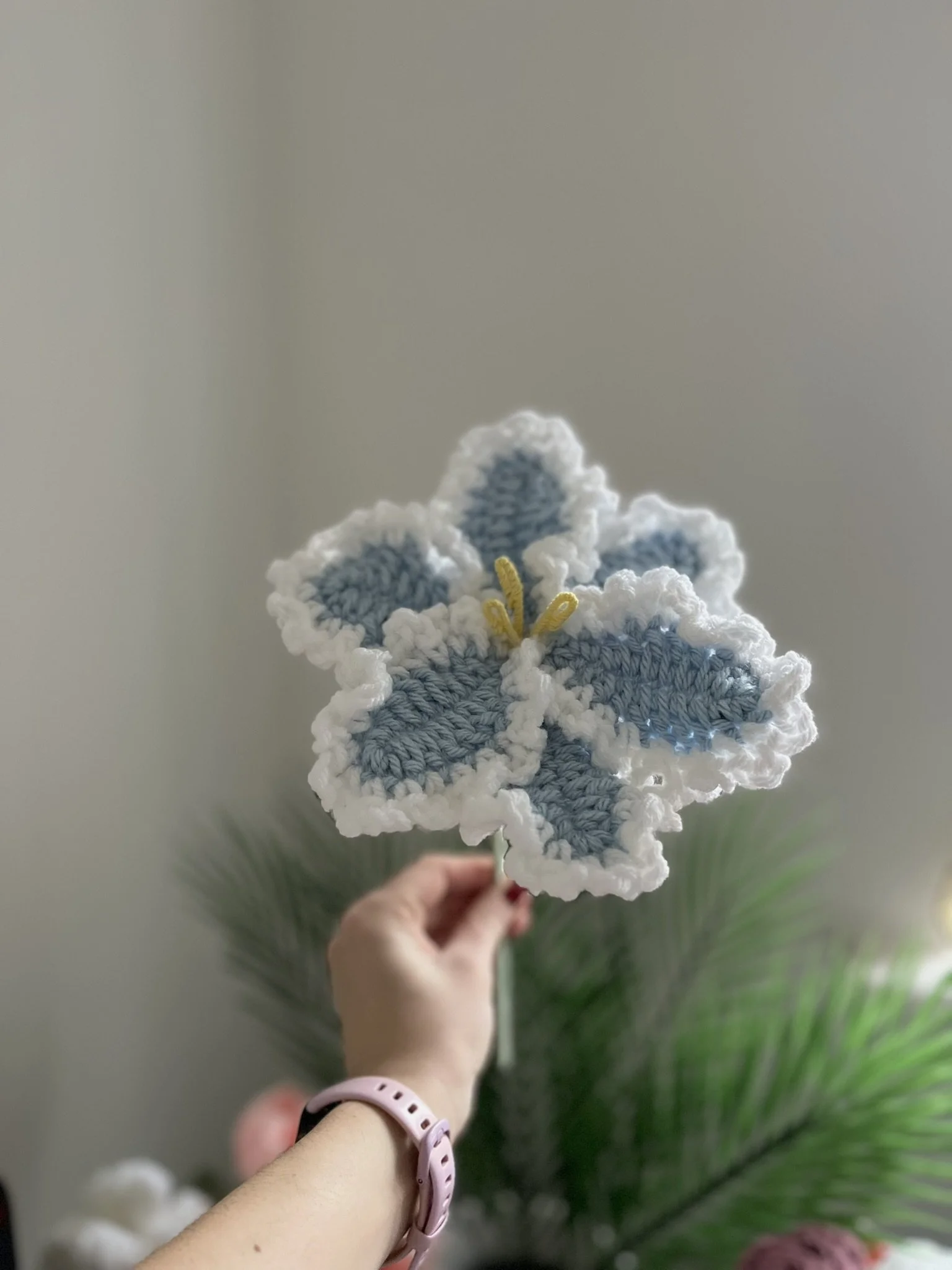 Lily