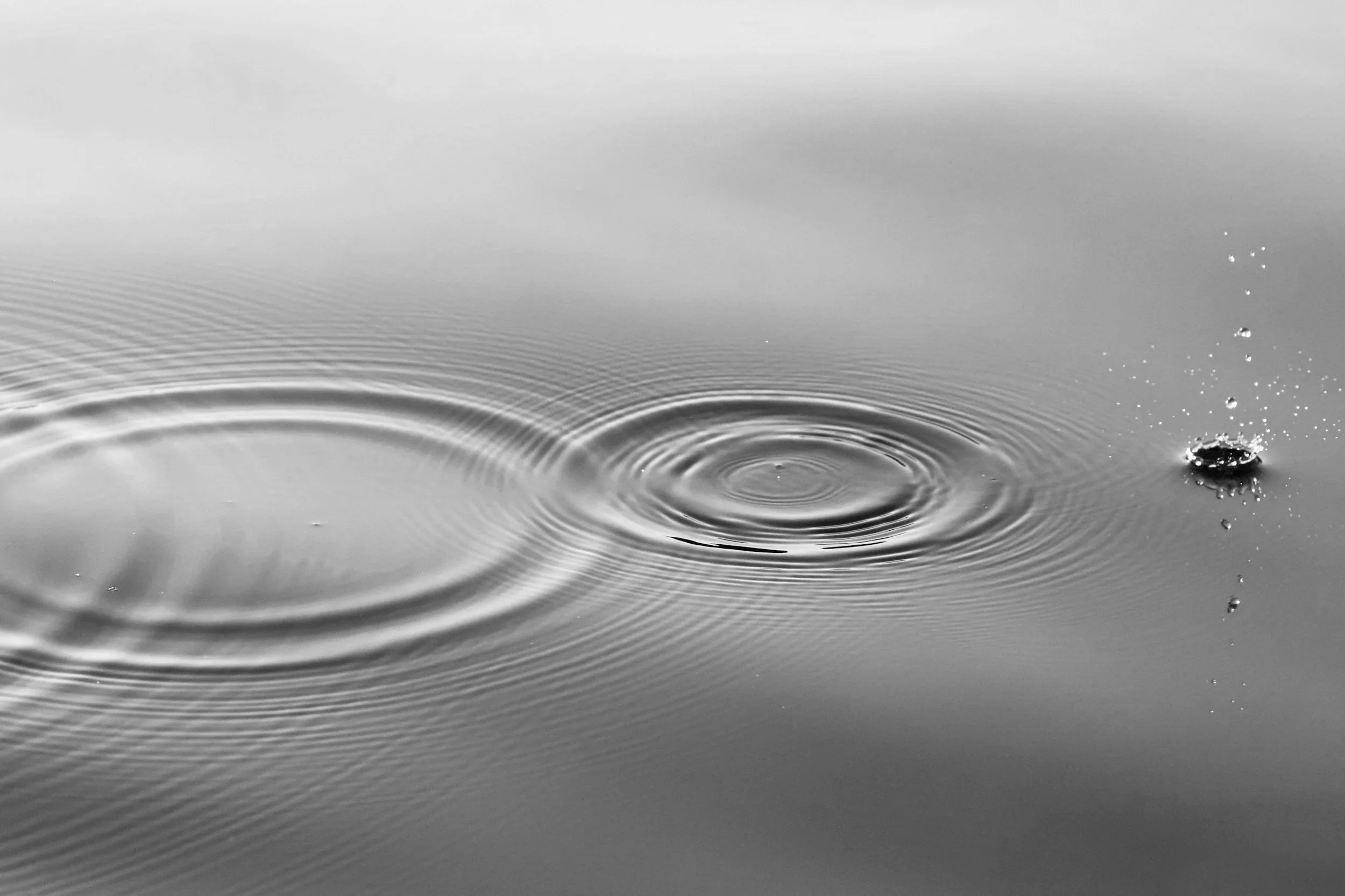 Close-up of a water droplet hitting the surface of a calm pond, causing ripples and splashes on the water.