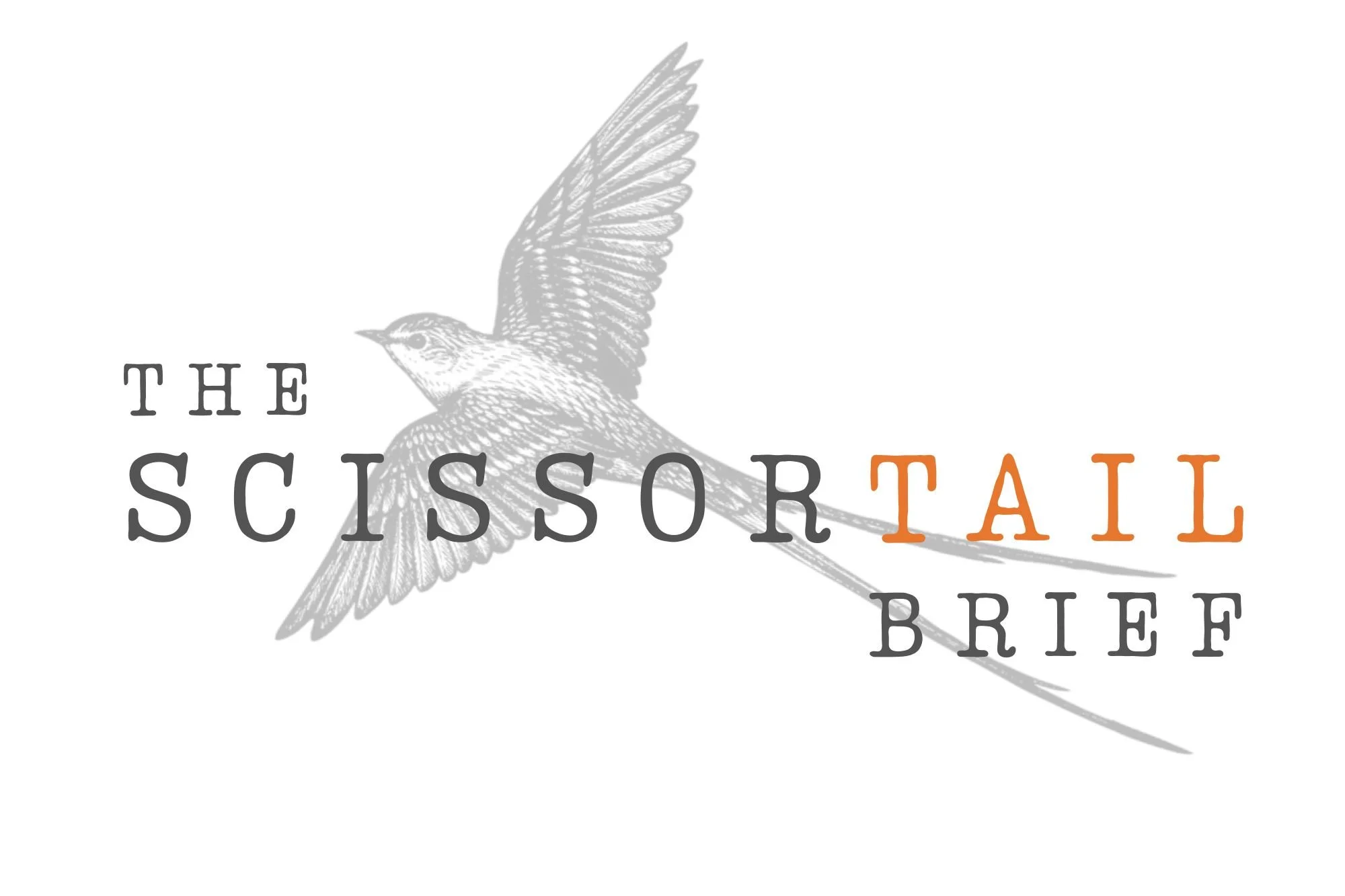 The Scissortail Brief | May 4–10, 2026
