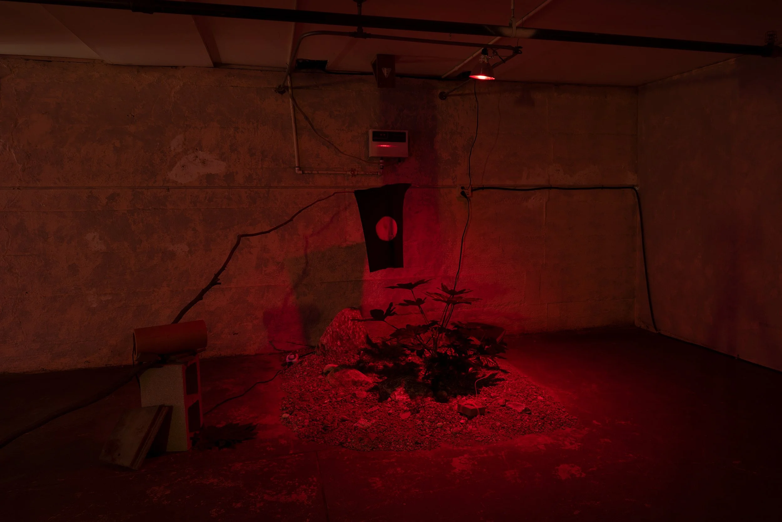 Odd_Room_51 copy.jpg