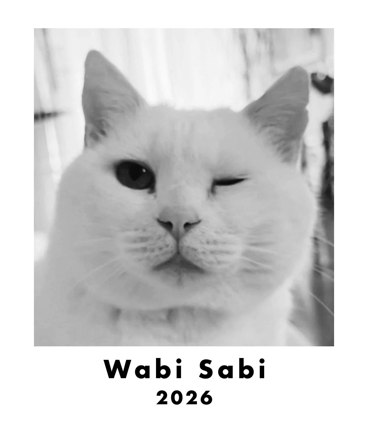 The Wabi Sabi Tee