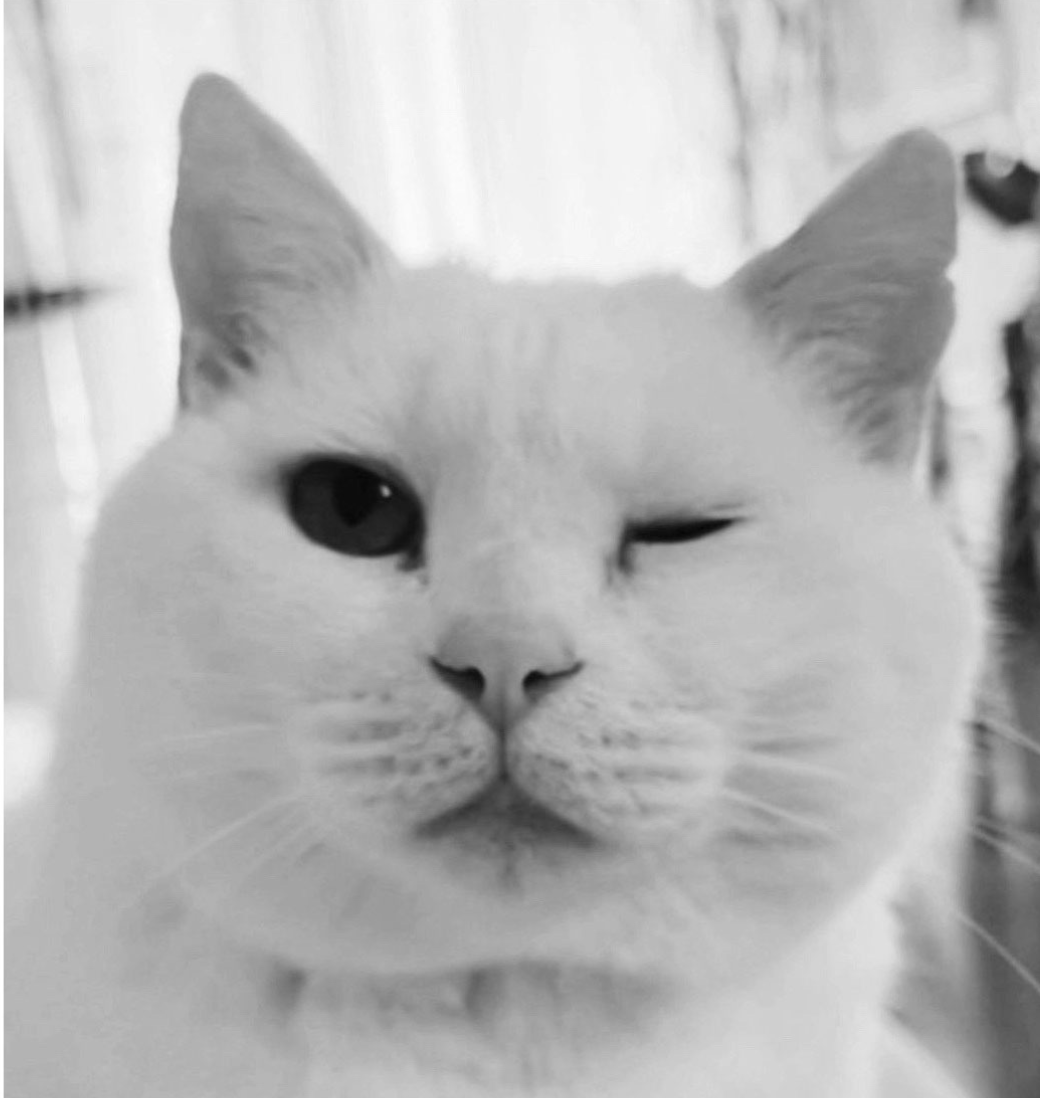 Screenshot 2026-04-27 at 2.36.40 PM.png