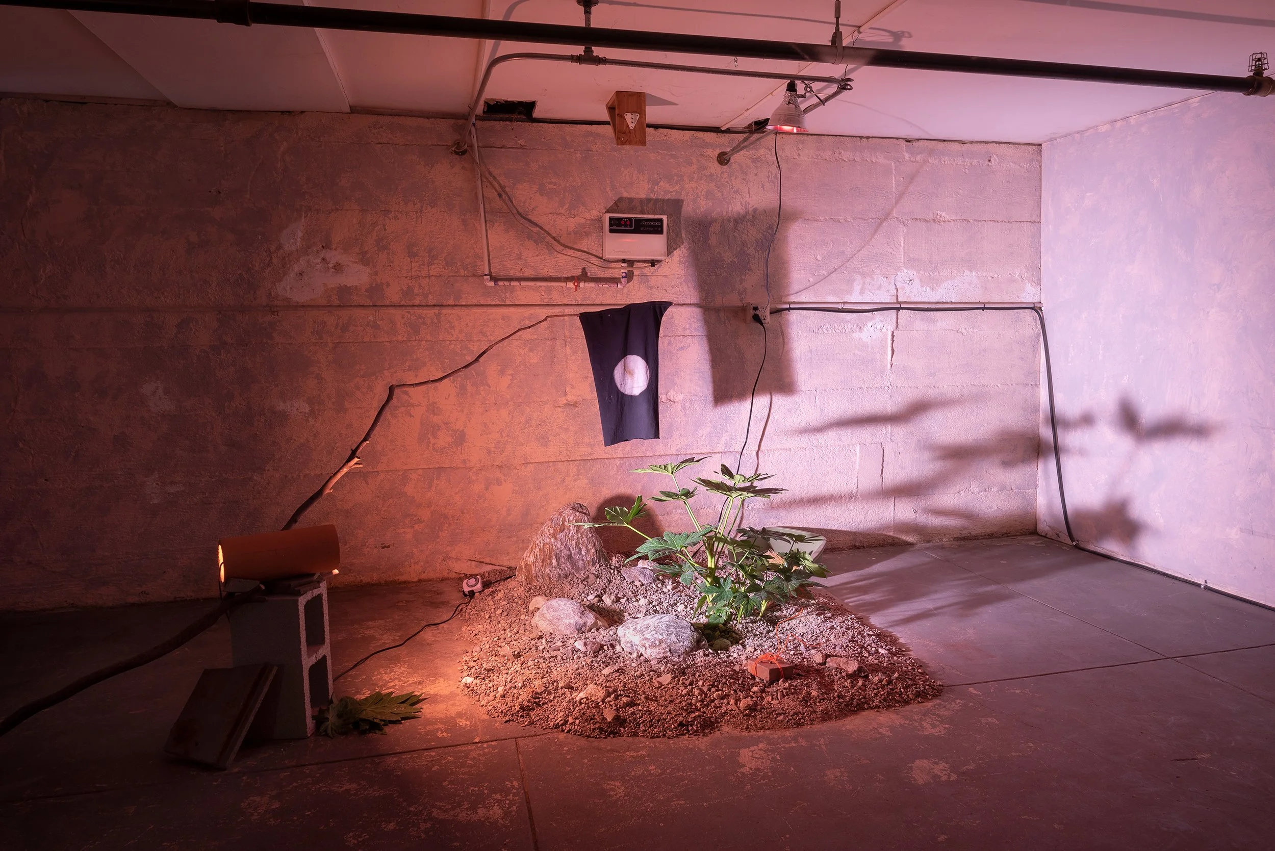 Odd_Room_50 copy.jpg