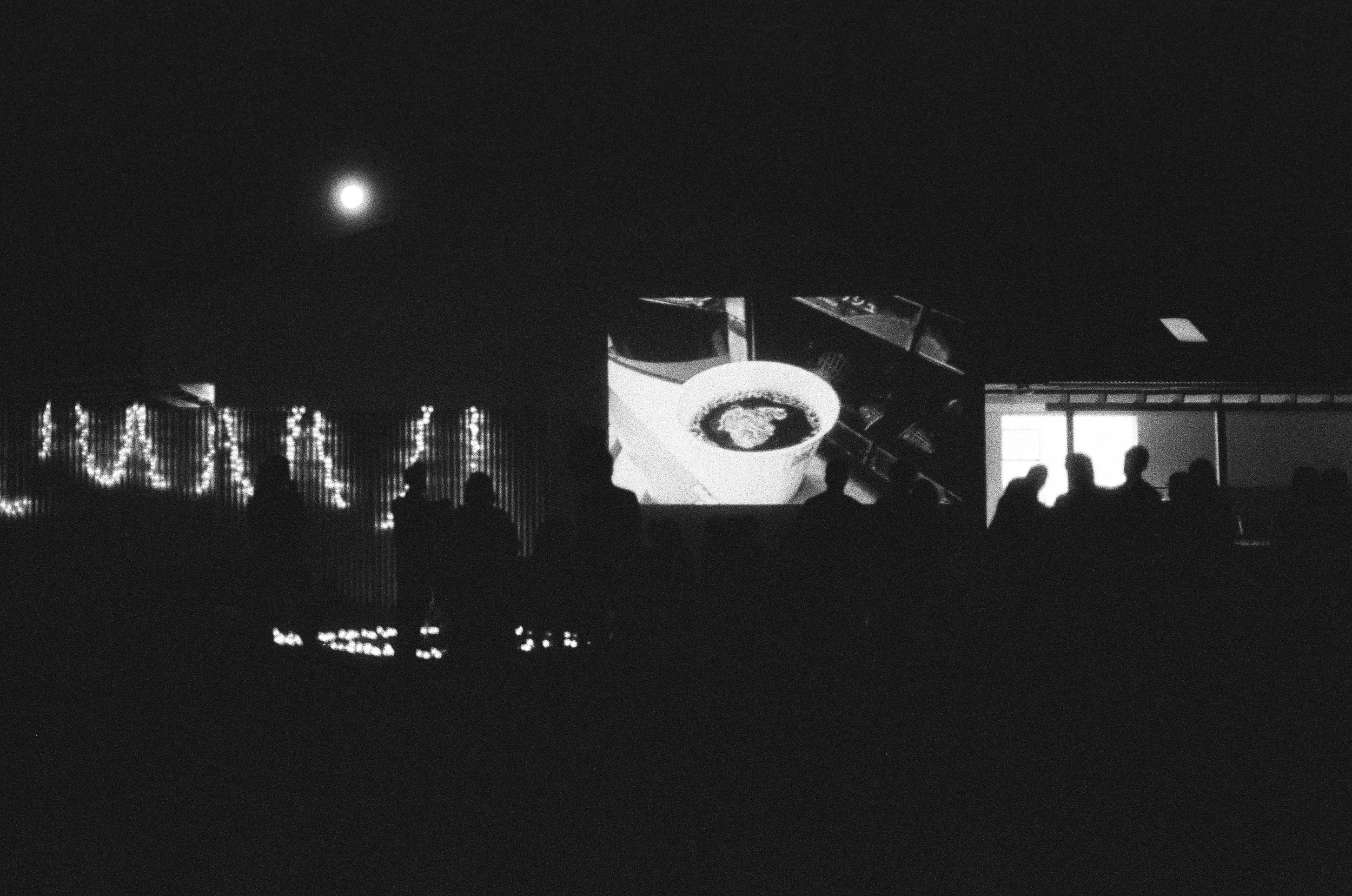Copy of Film_009.jpg