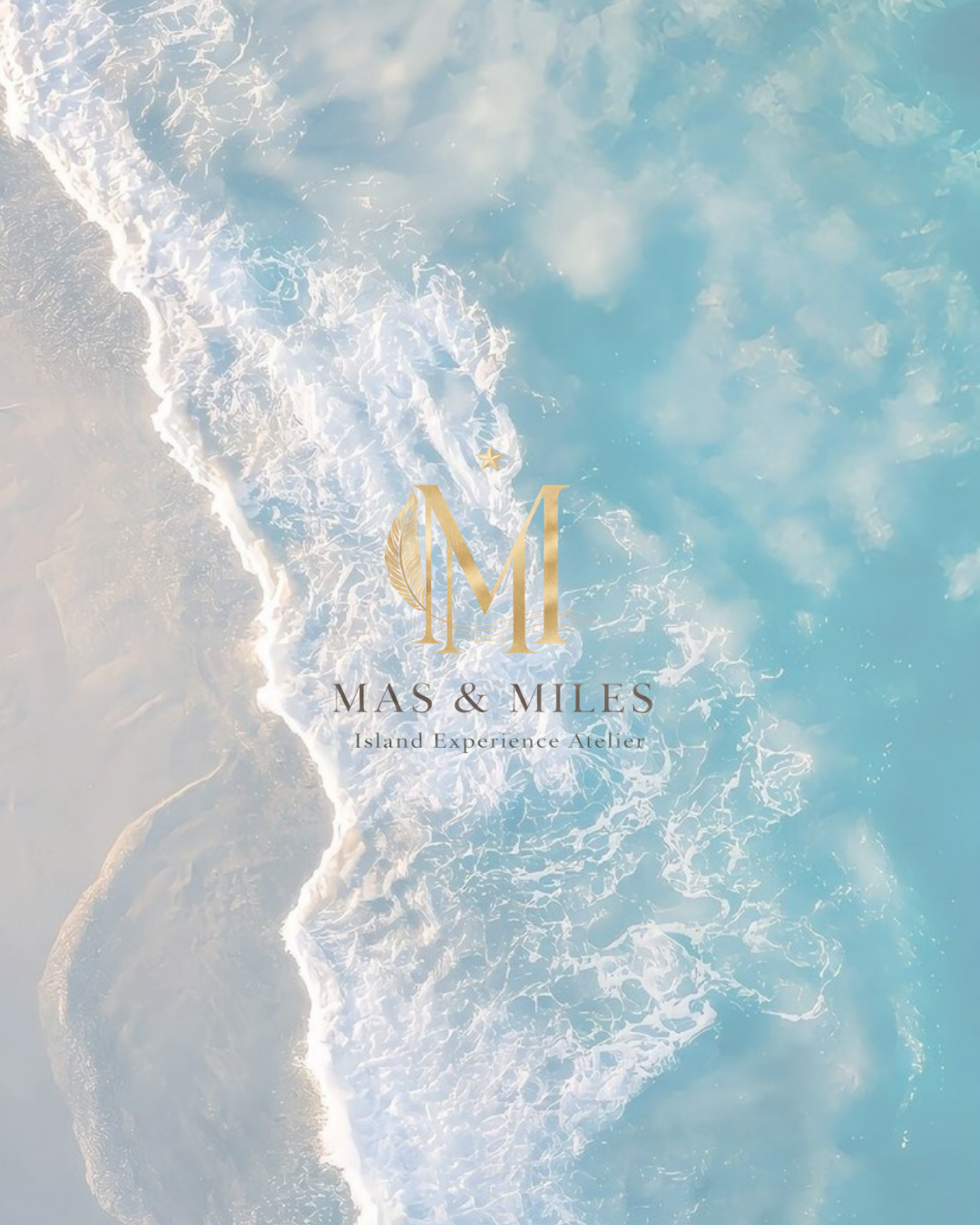 Carnival Inquiry Call