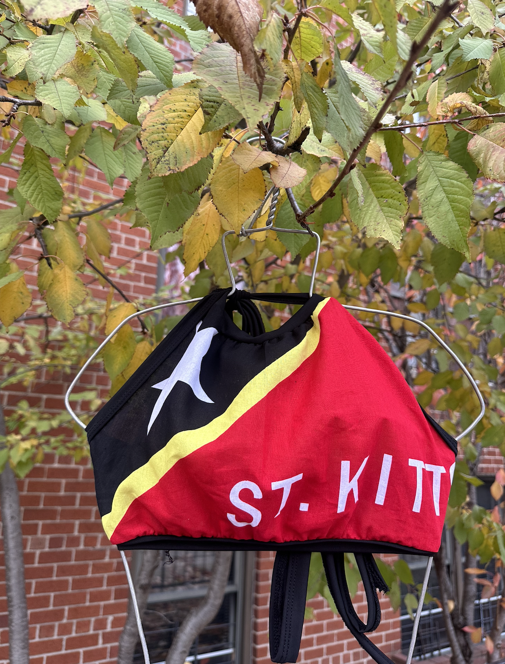 Screenshot 2025-11-28 at 9.48.09 AM.png