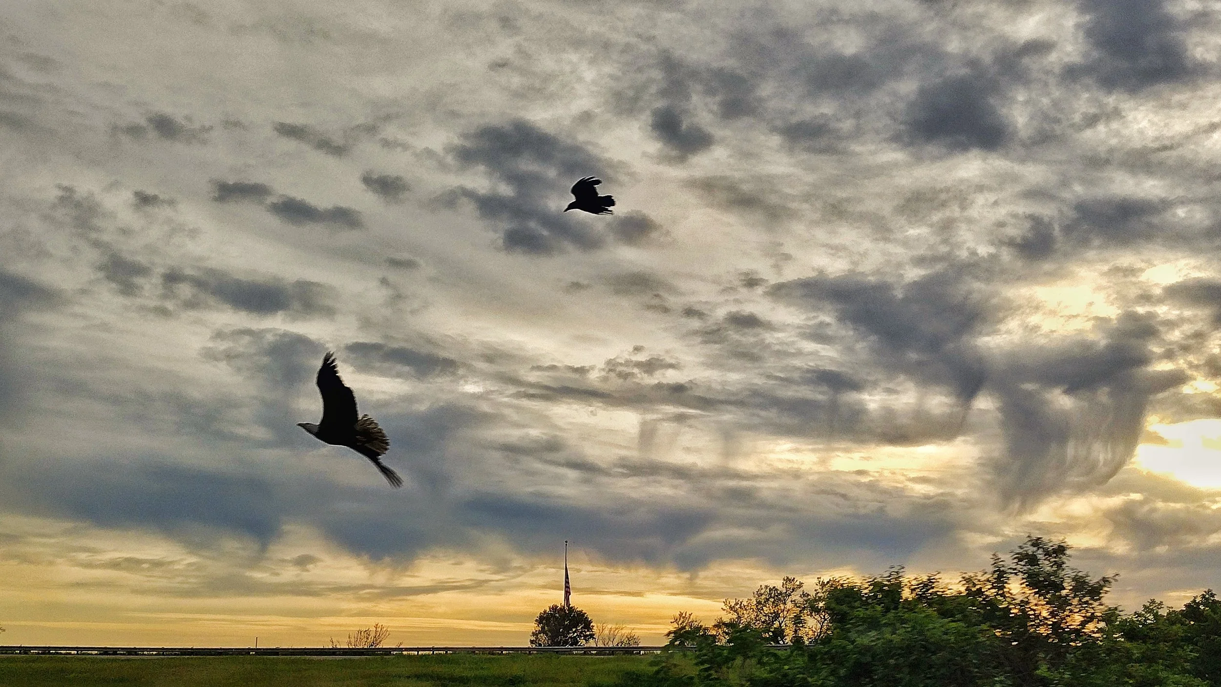 IMG_20230528_194613436_HDR-01.jpeg
