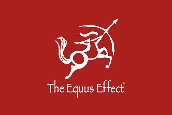 Guide to Equine Assisted Therapy