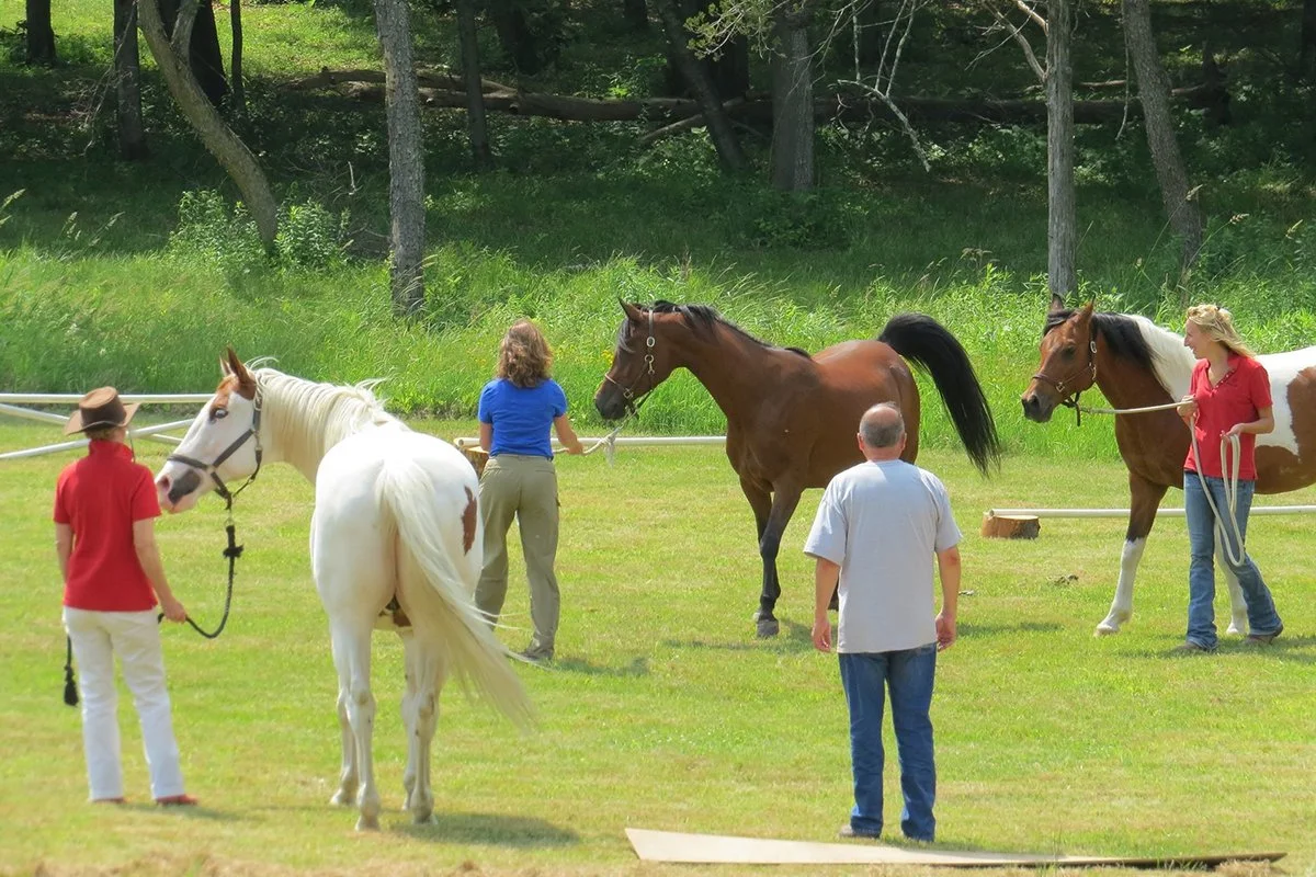 Website Photos 01-09-26_0011_Layer 6.jpg