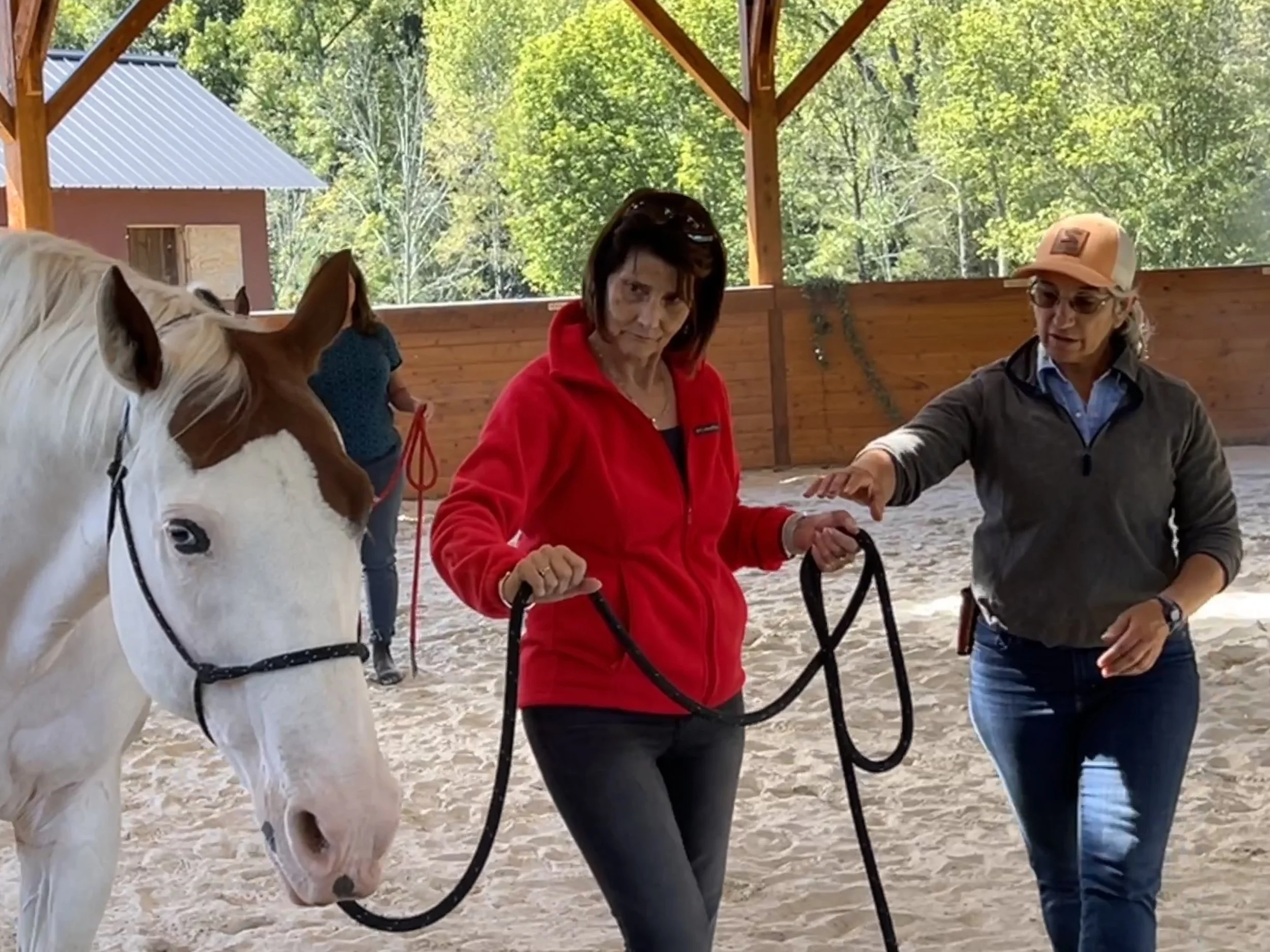 The Somatic Enneagram Meets The Equus Effect