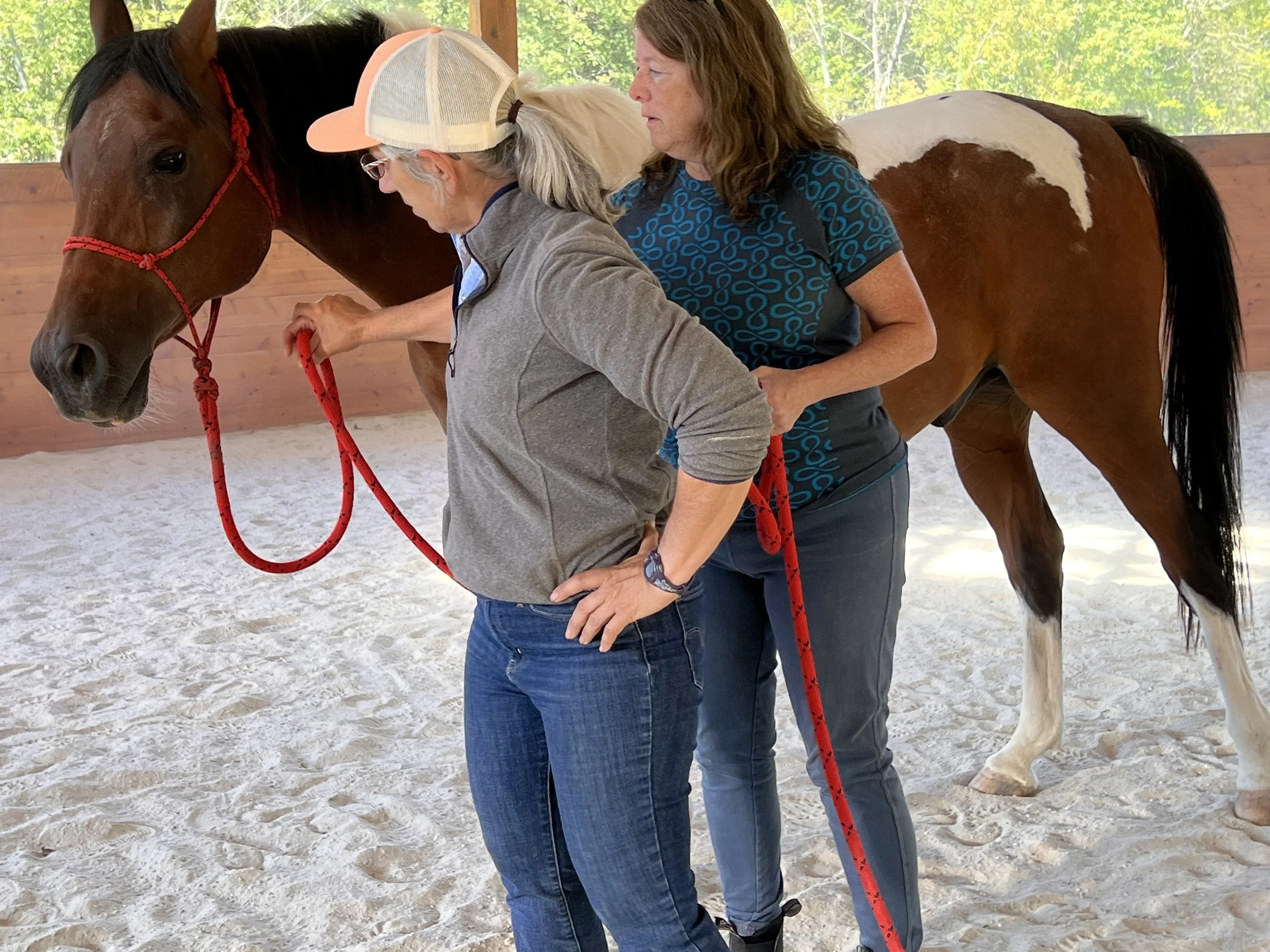 Horsemanship Clinics