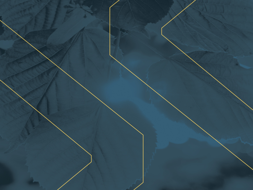 Net Zero Energy & Carbon Study 
UBC Vancouver, BC