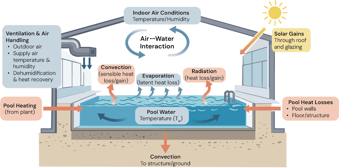 Indoor swimming pool heat balance diagram showing evaporation, convection, radiation, solar gains, pool heating, and heat losses affecting aquatic centre energy performance.