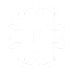 Founders Collection on Lewis Lane