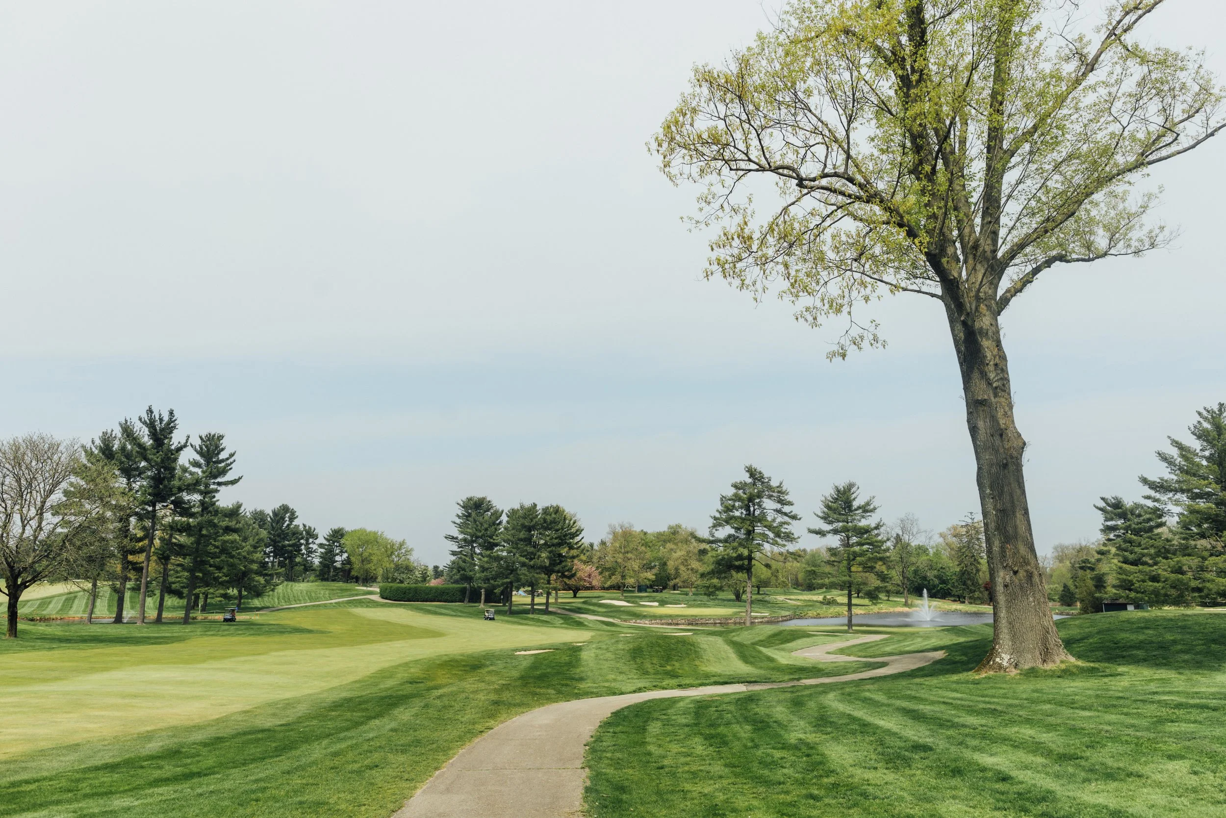 A golf course with a paved path, green grass, and trees, including a large tree on the right, with a water fountain in the background under a cloudy sky.