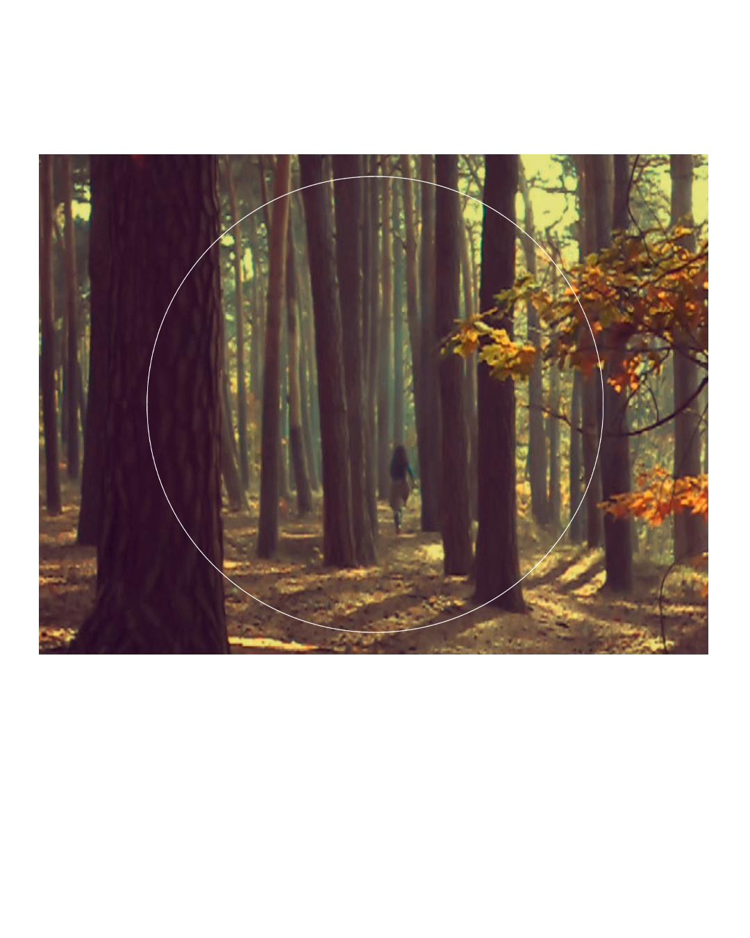 26 SAMUEL postcard II The Tree CIRCLE.jpg