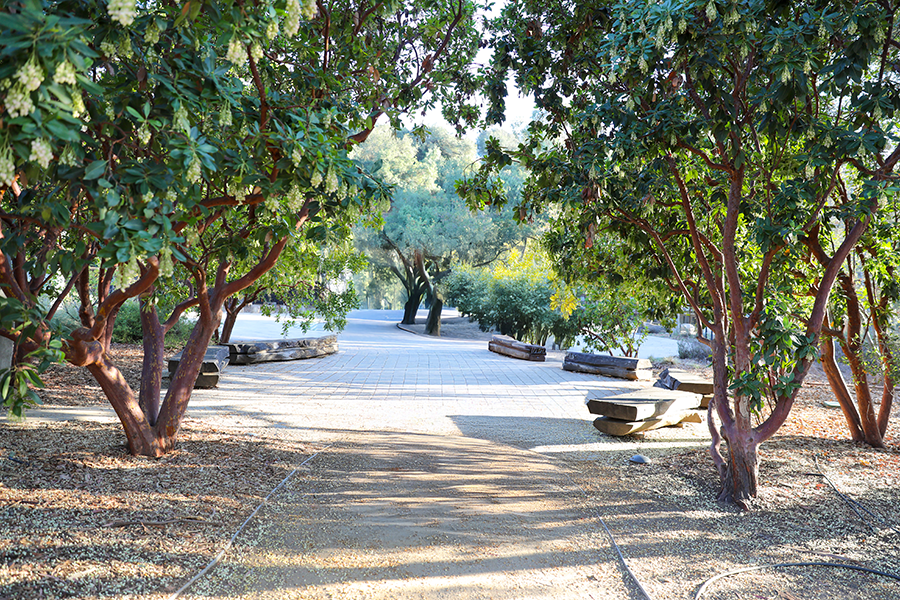 A paved walkway through a lush green park with trees, benches, and a sunny atmosphere.