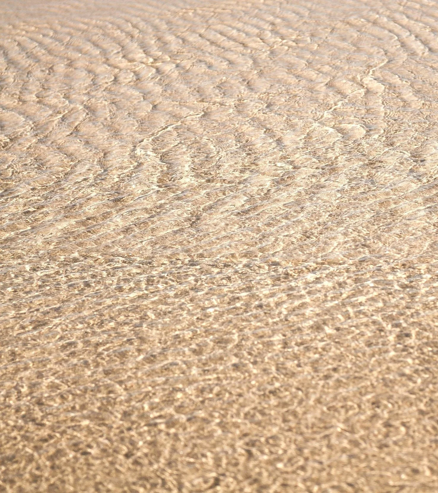 Close-up of clear ocean water gently lapping over a sandy beach.