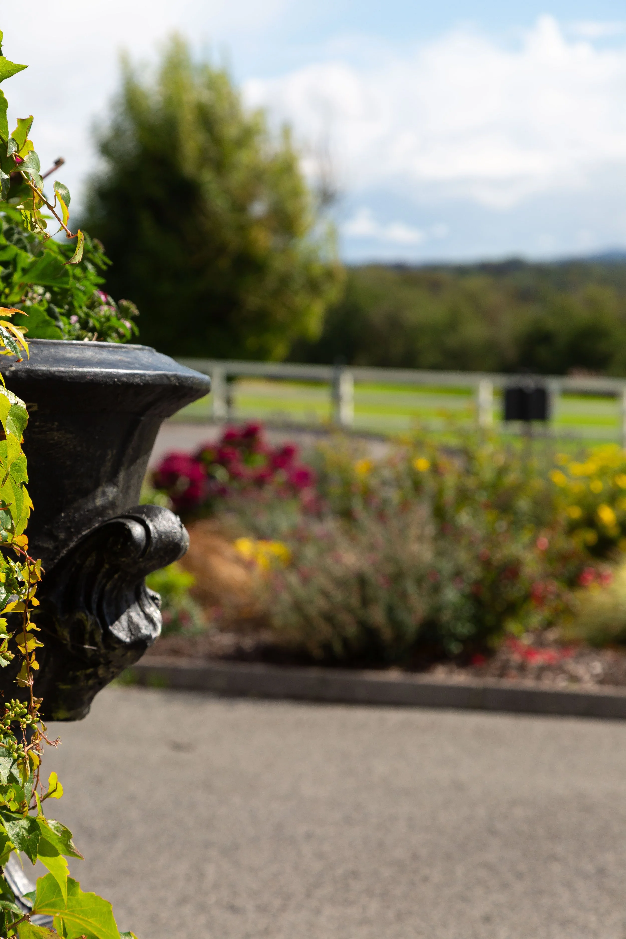 05092025_1 (124).jpg