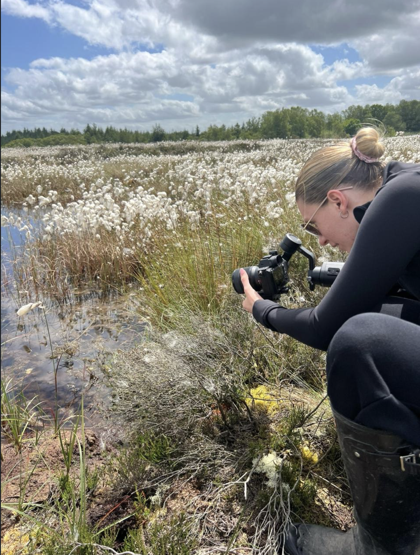 Screenshot 2026-01-08 at 12.55.50.png