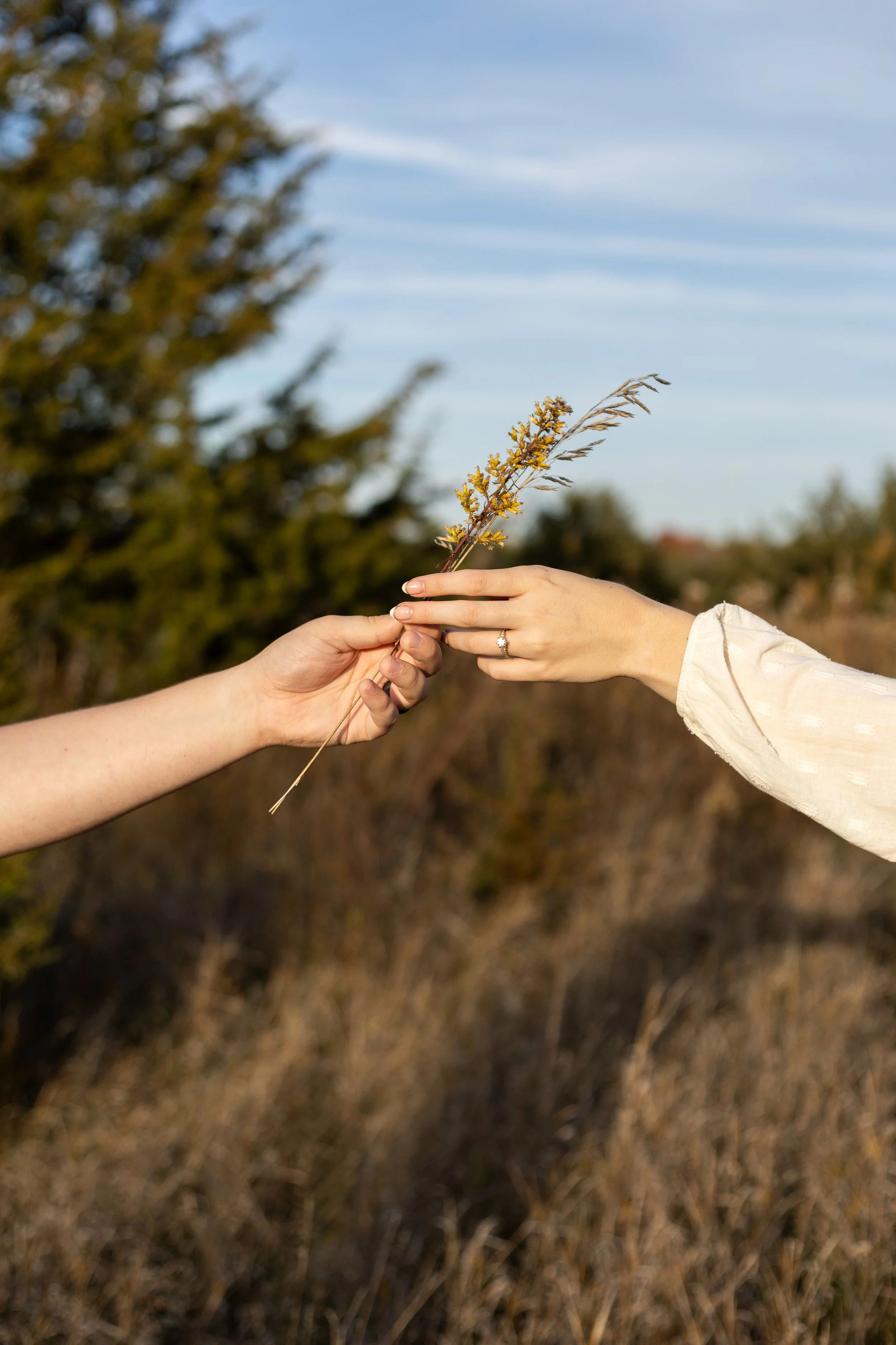 Engagement session during the fall at Nashotah Park in Wisconsin