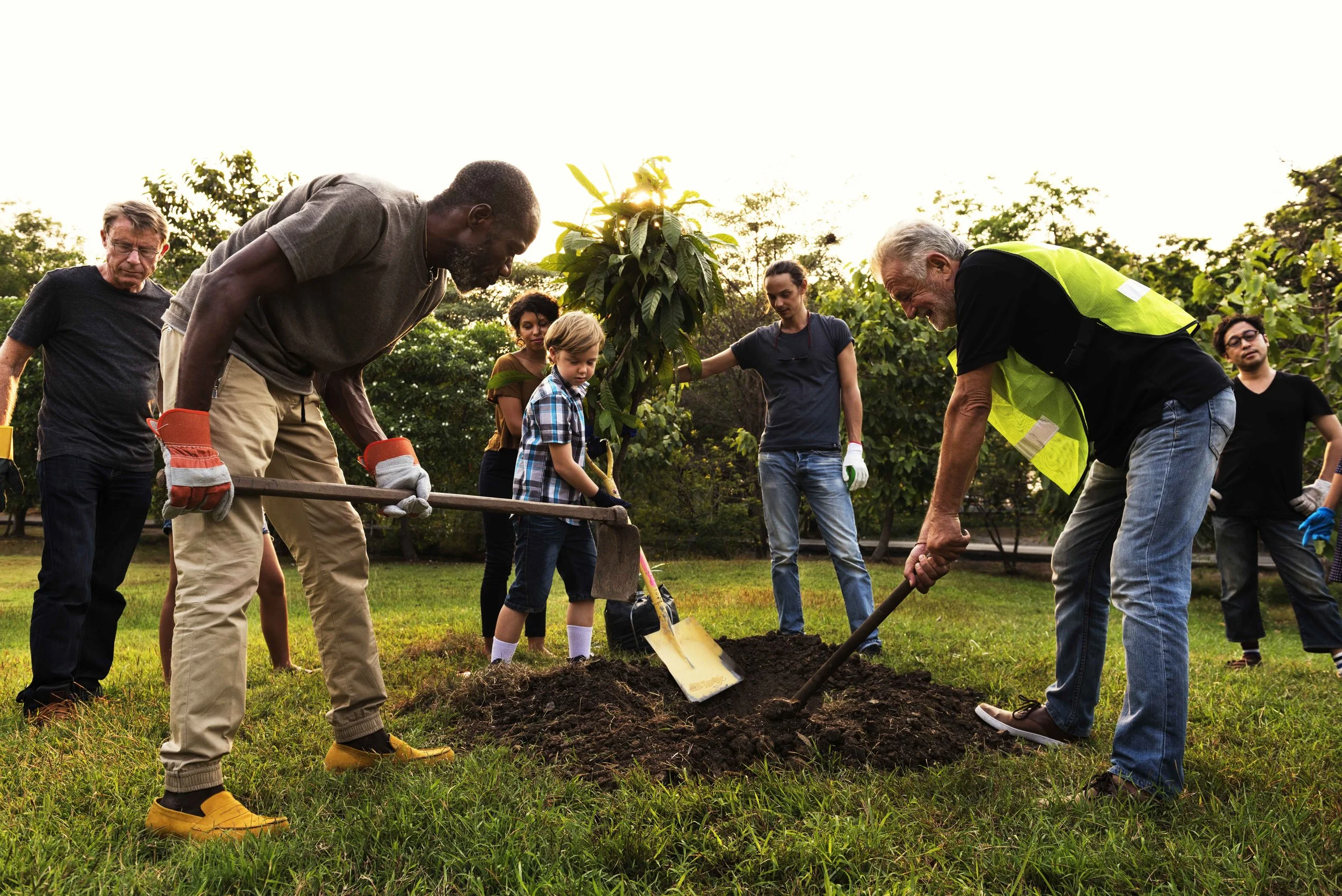 Diverse community of different ethnic and age background planting a tree together