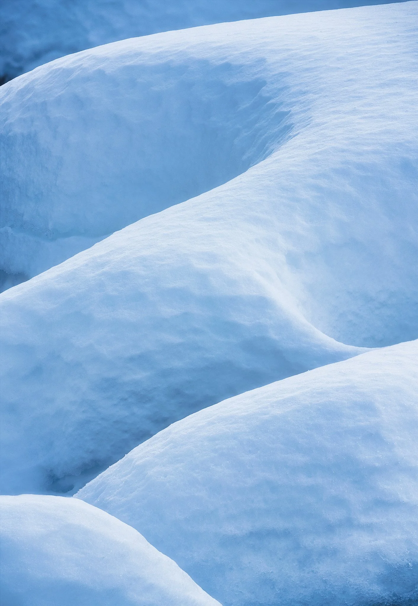 Arctic Curves 2_FBed_sRGB.jpg