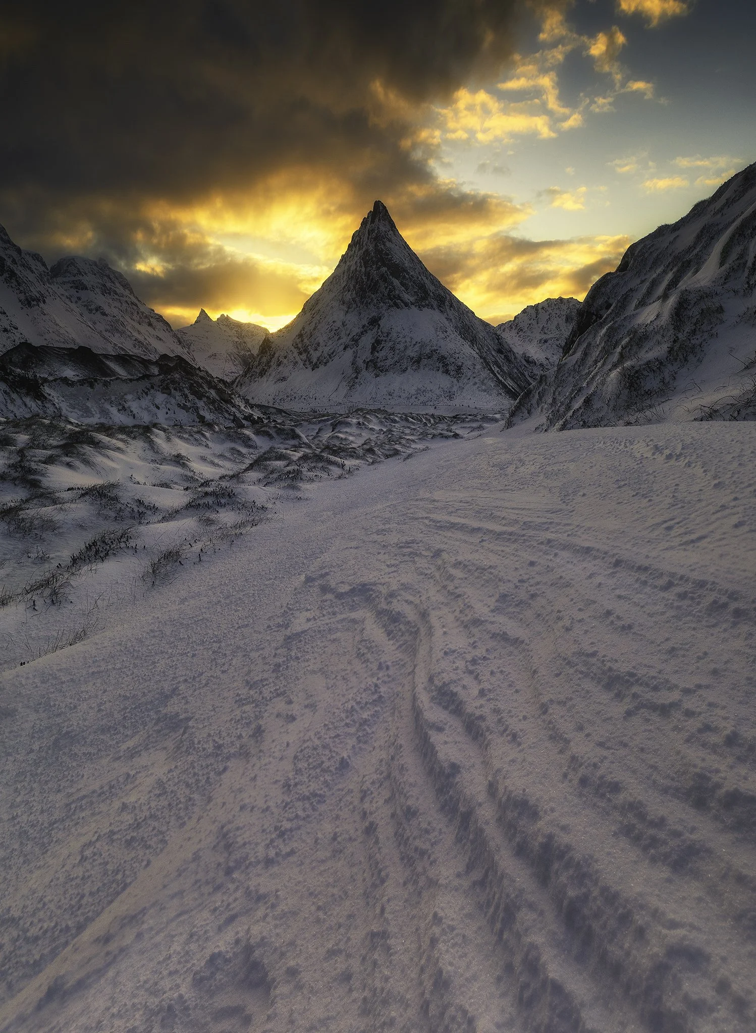 Winter Wonderland_FBed (1).jpg