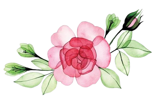 A watercolor illustration of a pink flower with green leaves and buds.
