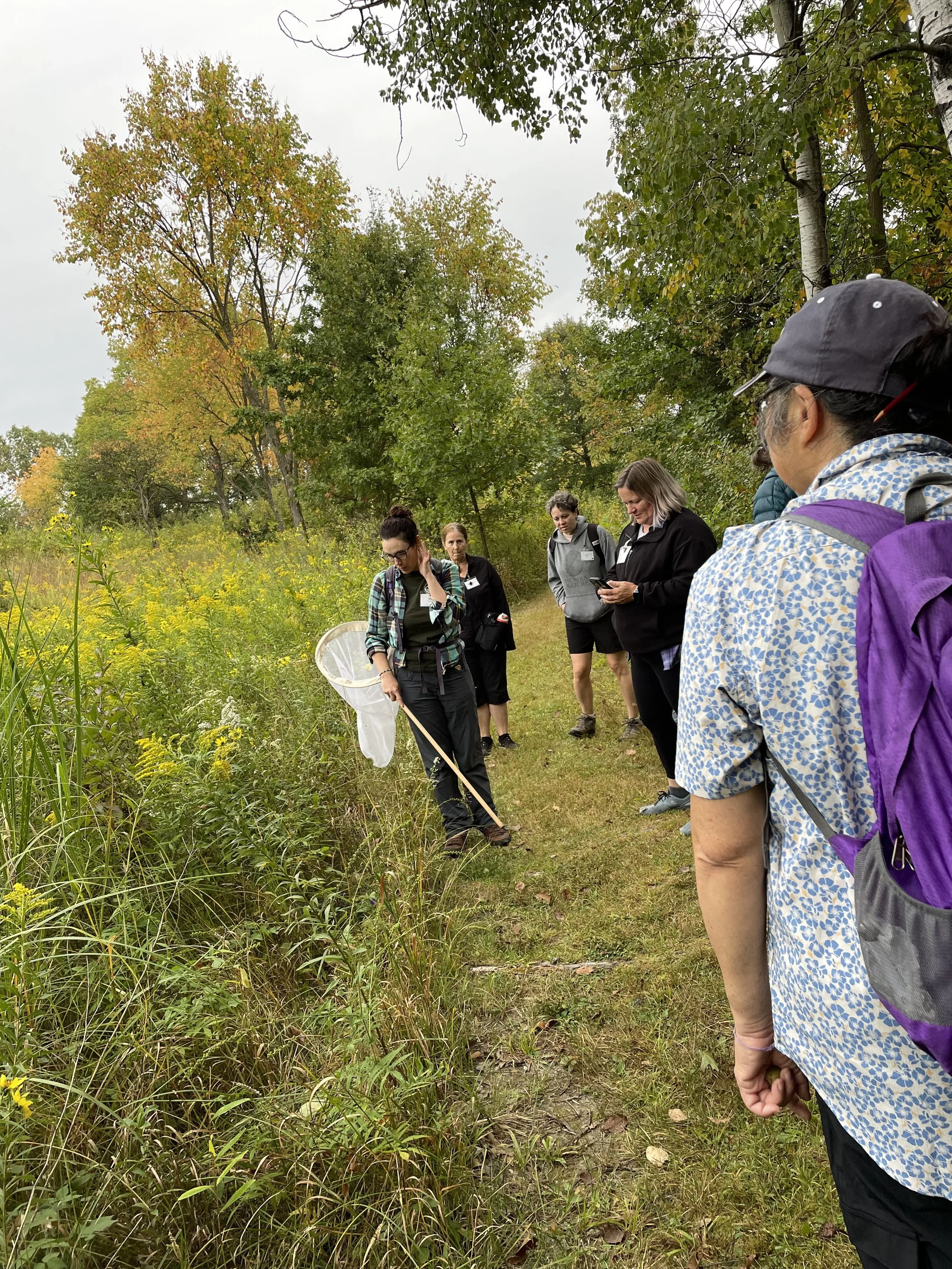 Group of people standing on a nature trail, observing and identifying plants with a woman holding a butterfly net