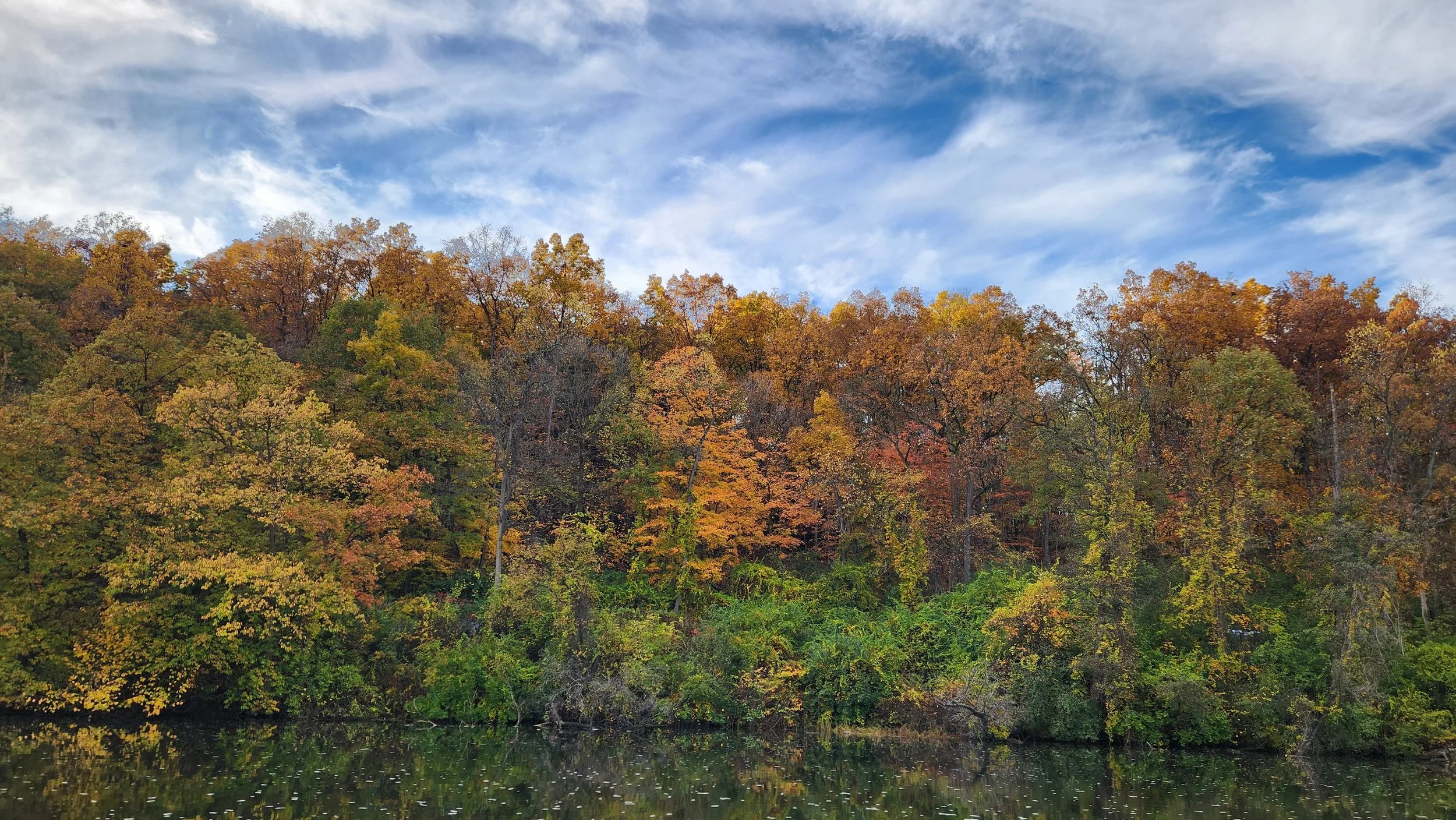 Autumn trees with colorful leaves along a river under a partly cloudy sky.