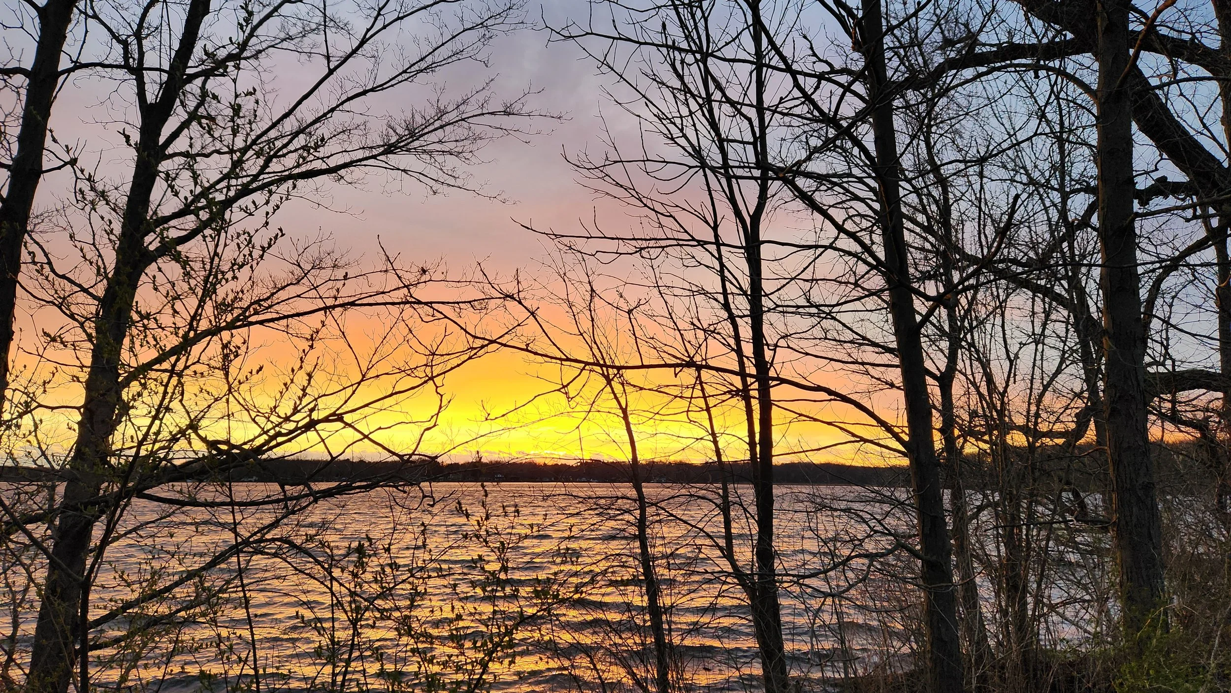 Sunset over a body of water seen through leafless trees, with colorful sky in shades of yellow, orange, pink, and purple.
