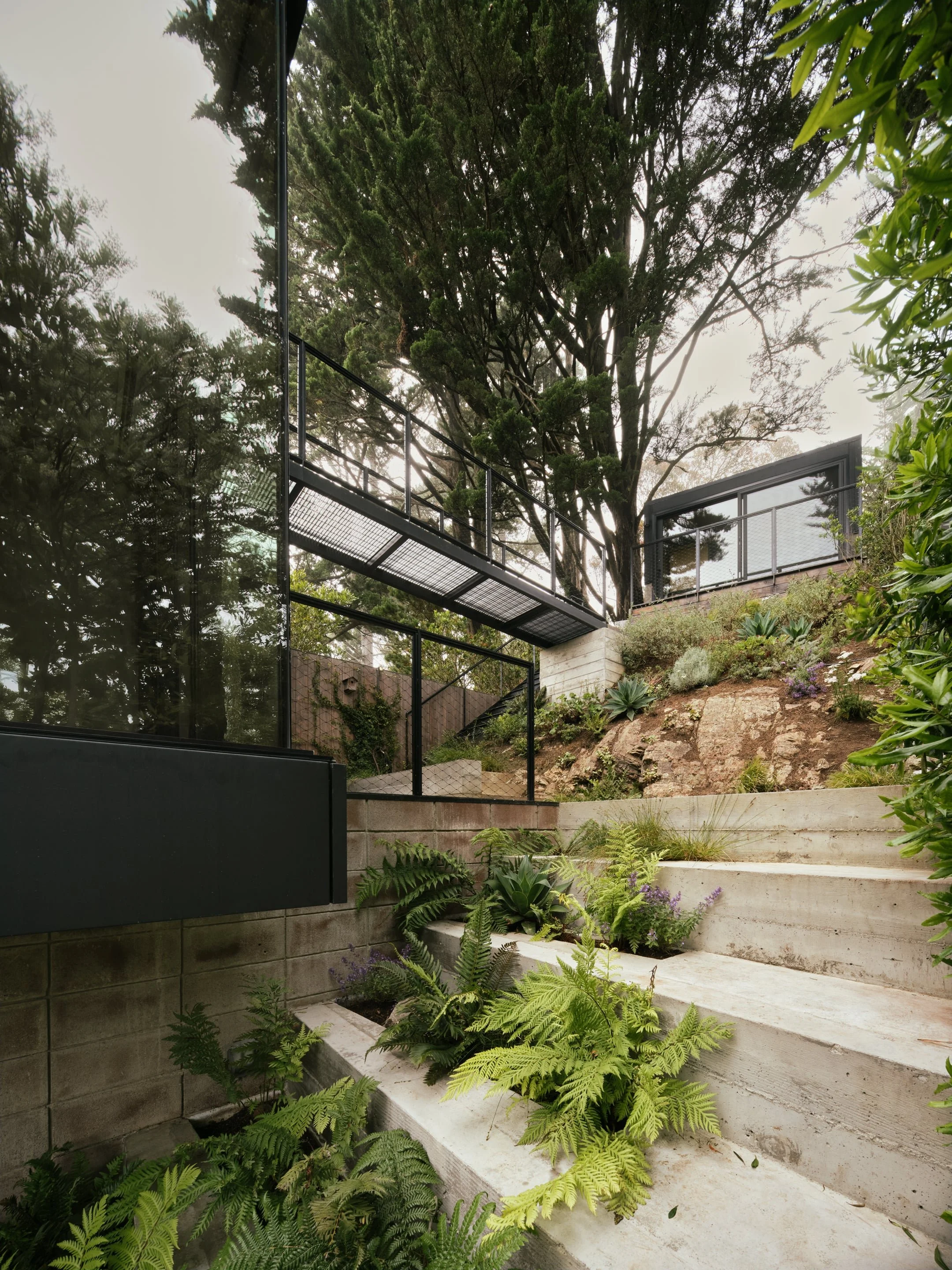 Modern outdoor garden with concrete steps, lush foliage, ferns, succulents, and a metal bridge, surrounded by trees and glass fencing.