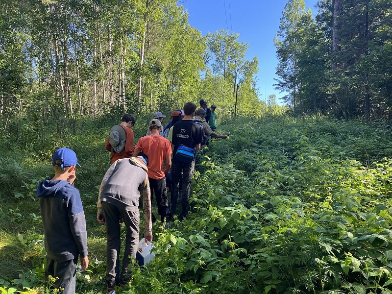 Group of children and teens walking in a line through a green, forested area on a sunny day.